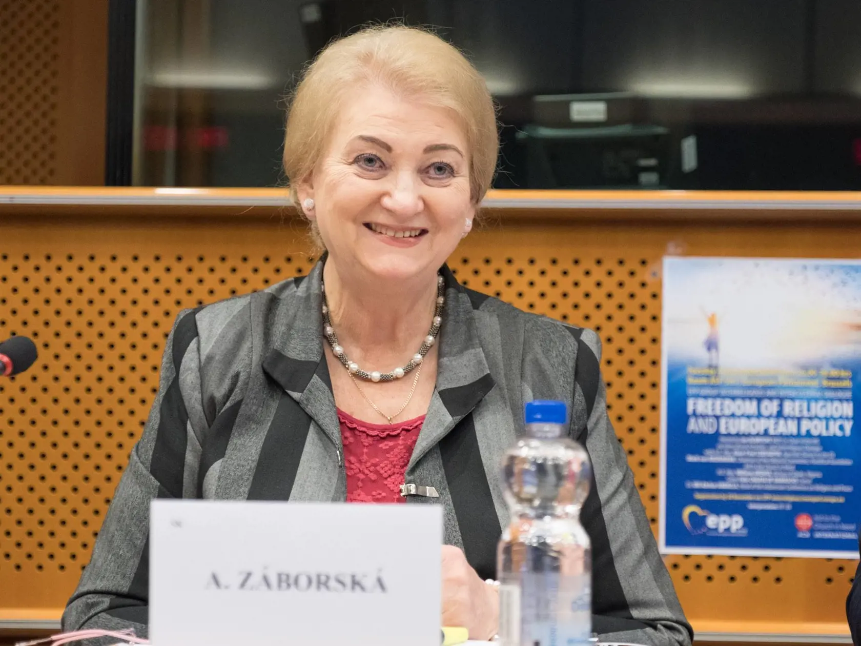 Anna Záborská kandidovala za KDHm, dnes založil s kolegom Branislavom Škripekom a bývalý poslancom za OĽaNO Richardom Vašečkom vlastnú stranu. Cieľ je miesto v europarlamente. Išlo by o jej štvrtý mandát.