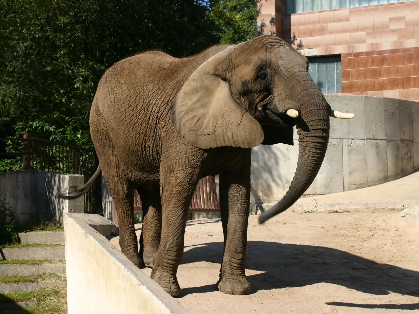 Zoo Bojnice má ako jediná na Slovensku slony.