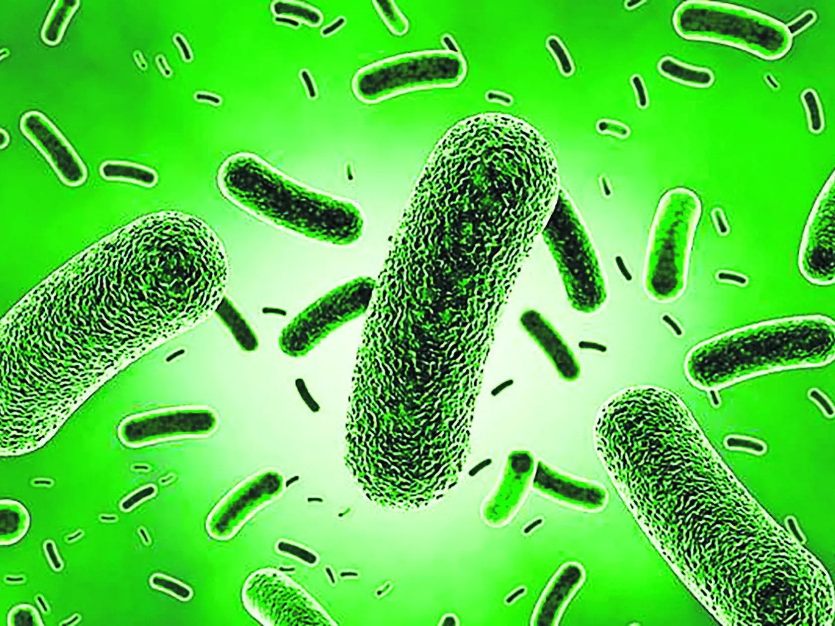 Baktéria legionella sa množí v nepoužívaných vodovodných rúrkach.