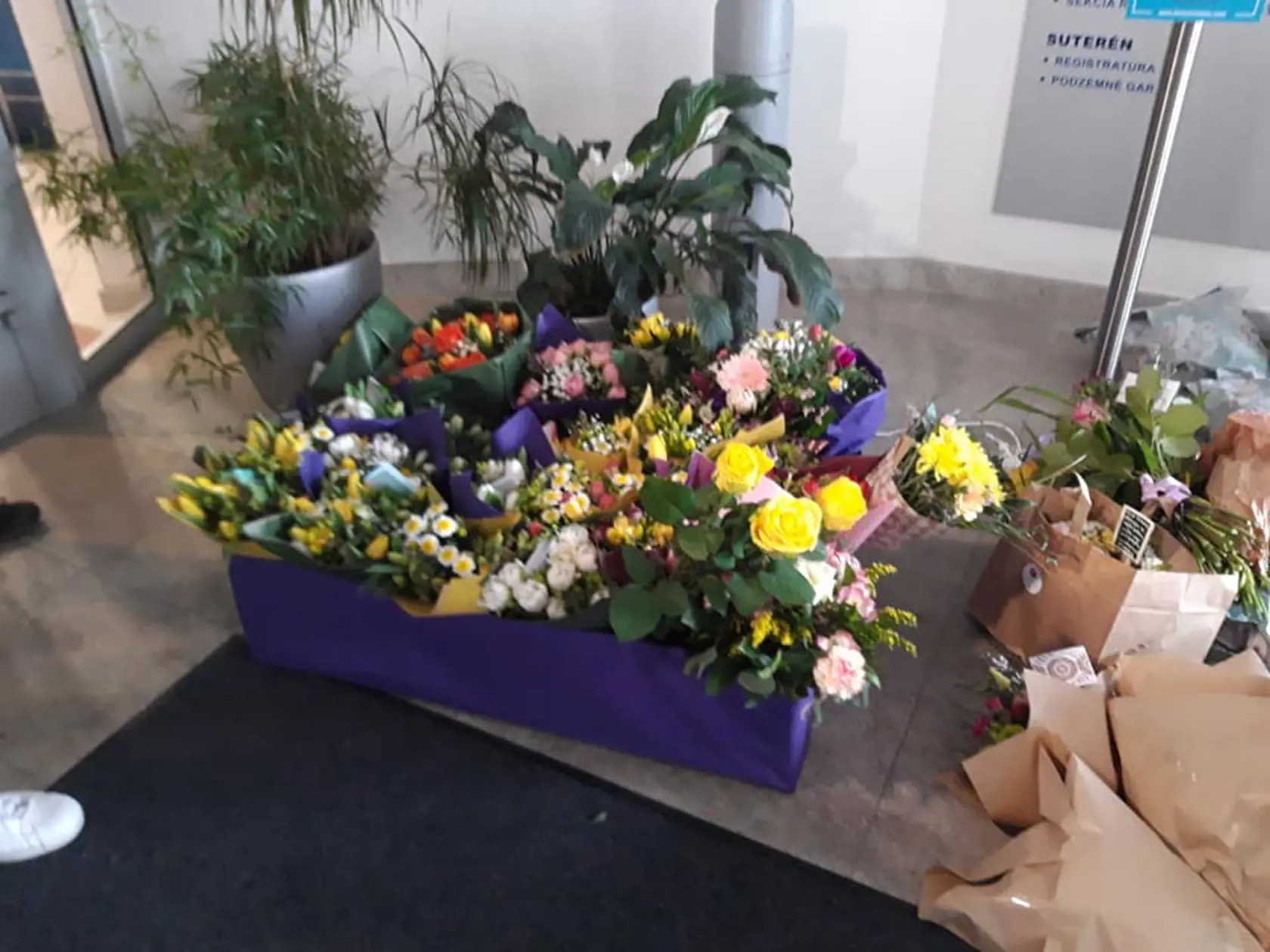Šéfka Štátneho ústavu pre kontrolu liečiv Zuzana Baťová zažila v piatok v práci šok. Pred ŠÚKL sa zhromaždilo niekoľko desiatok ľudí, aby jej vyjadrili podporu v kauze Sputnik V. Baťová čelí kvôli tejto téme útokom zo strany ministra financií Igora Matoviča a rôznym hejterom.