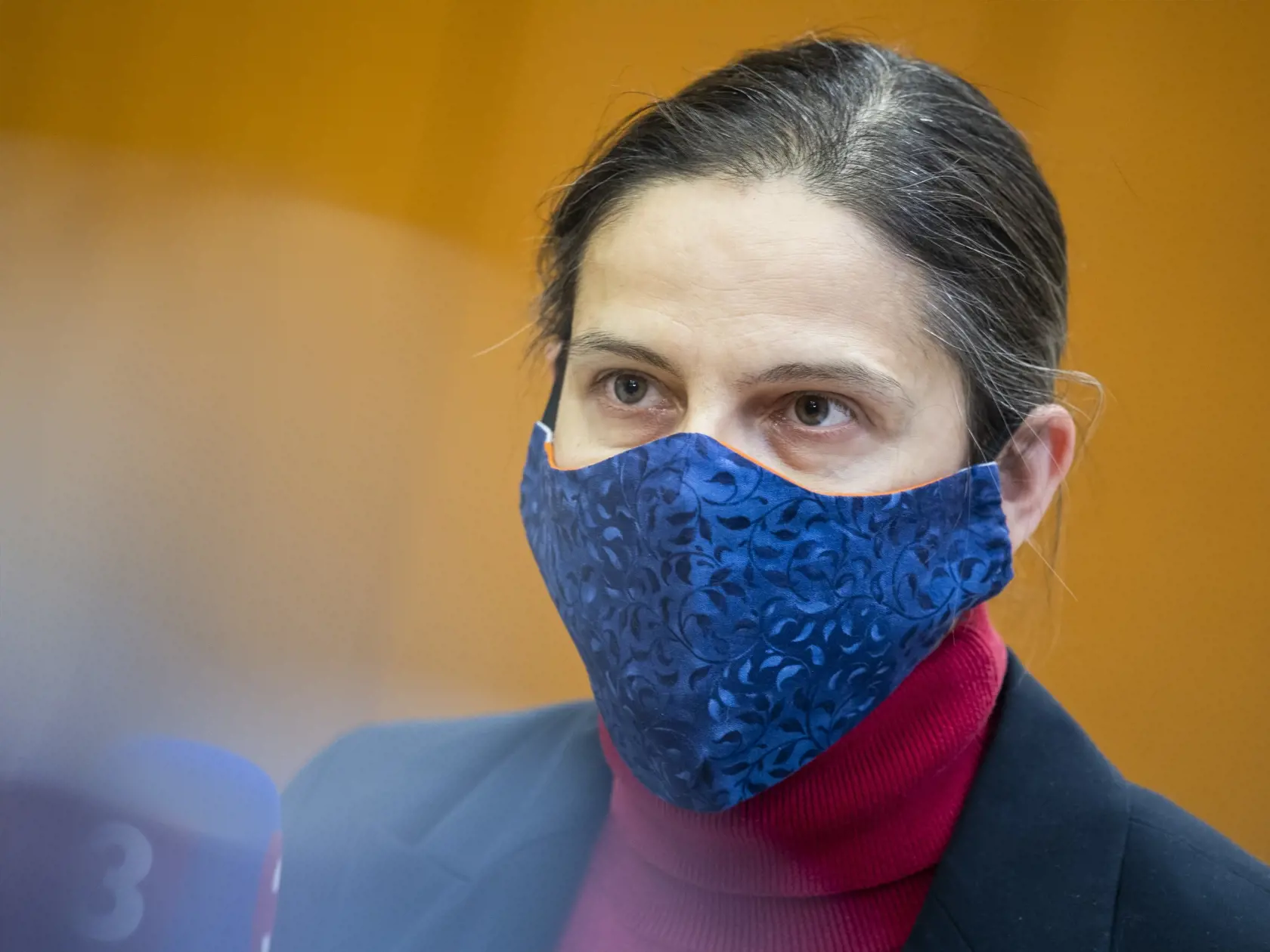 Na snímke je ministerka spravodlivosti SR Mária Kolíková (Za ľudí).