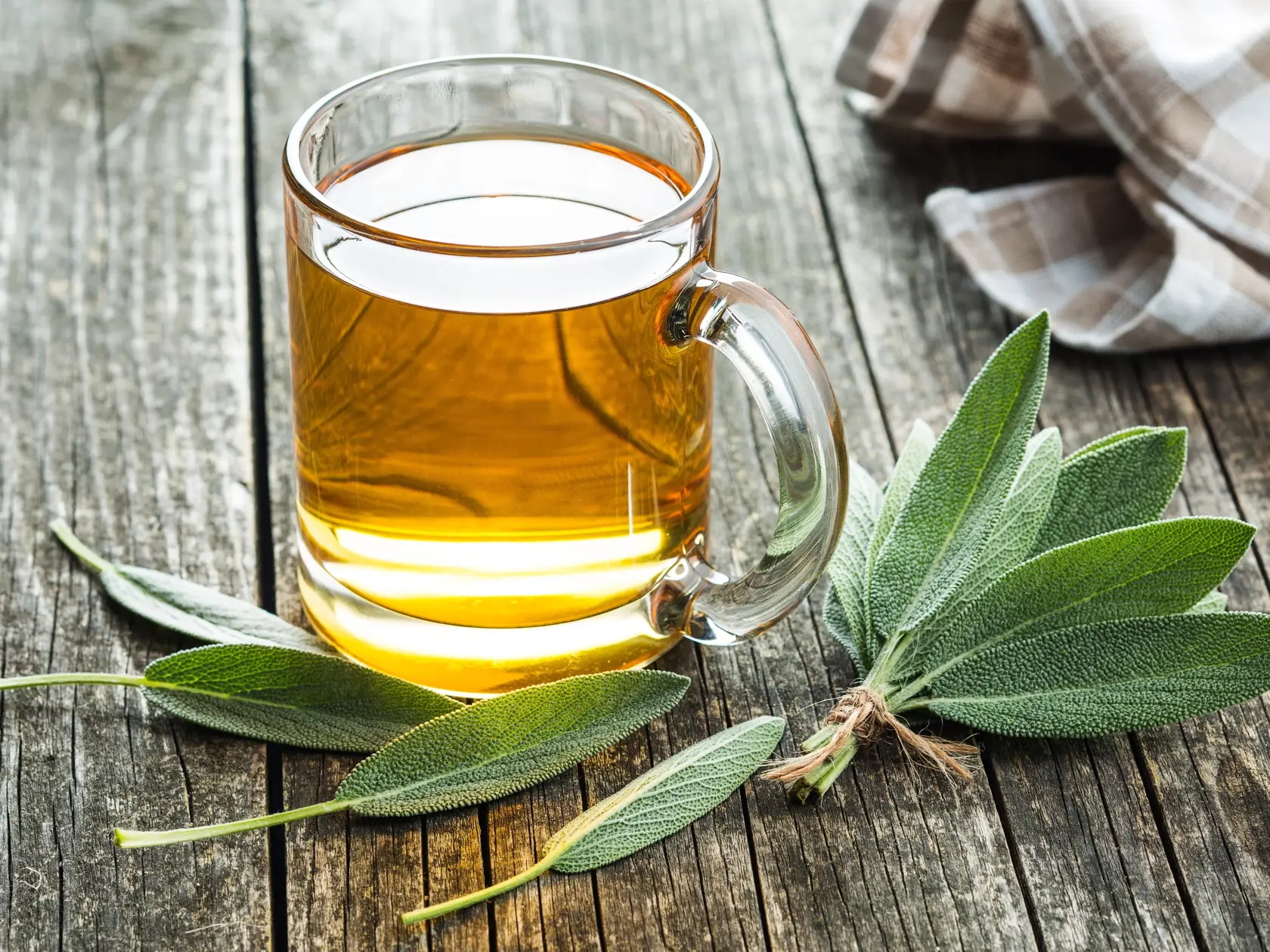 Sage,Tea,And,Sage,Leaves.,Infusion,Made,From,Sage,Leaves.