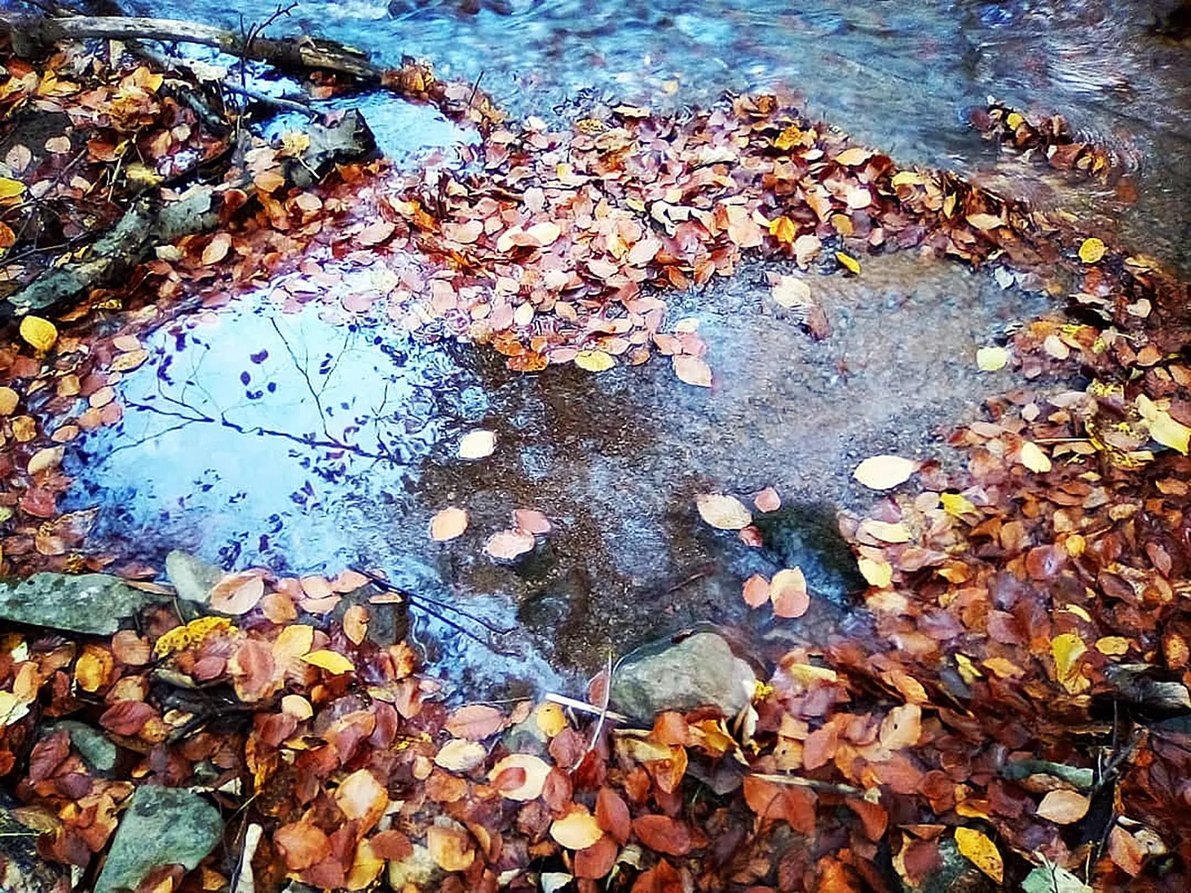 Anjeli jej posielajú
znamenia v podobe
srdca, čoho dôkazom
sú aj tieto fotografie.