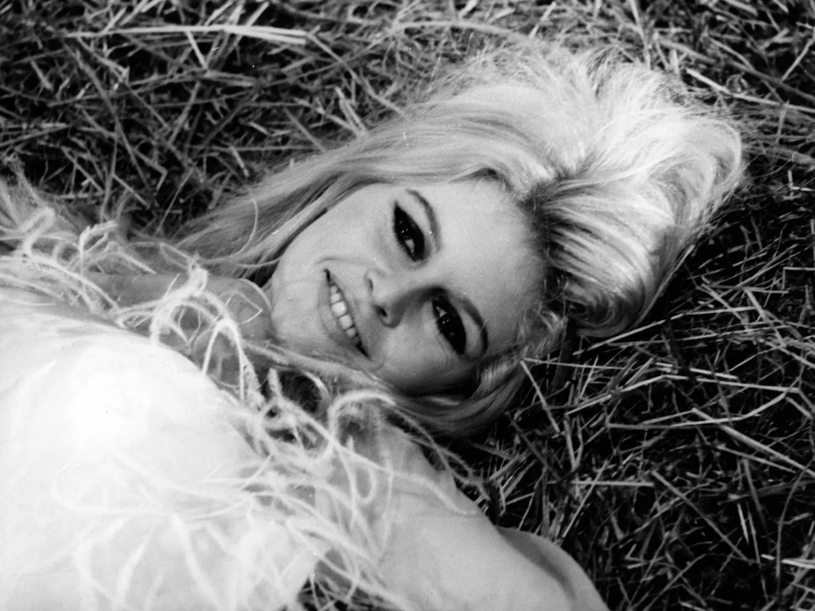 Brigitte Bardot 