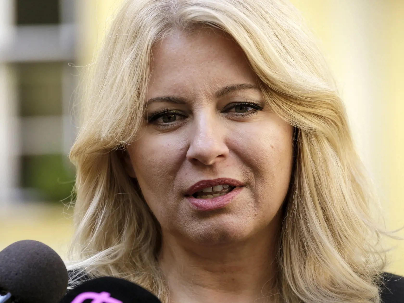 "Znenie schválenej právnej úpravy tak dopadá v neprospech všetkých fyzických osôb a právnických osôb, a to aj ústavne nesúladným spôsobom," uzavrel Strižinec.
