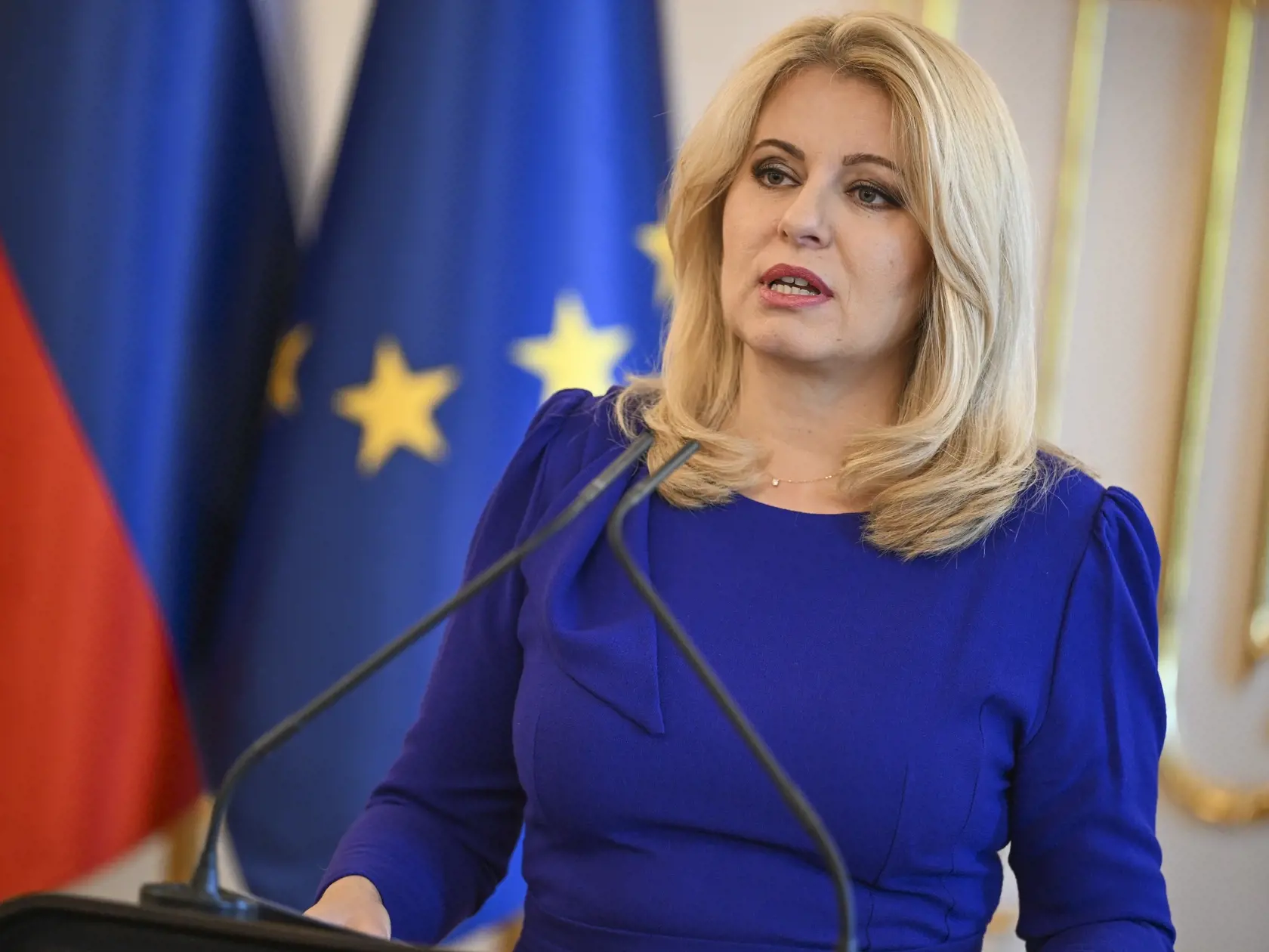 Prezidentka sa domnieva, že zavedenie taxatívneho výpočtu situácií, ktoré je a nie je možné považovať za nesprávny úradný postup, je kontraproduktívne, obmedzujúce, inherentne neúplné a ústavne nesúladné riešenie.