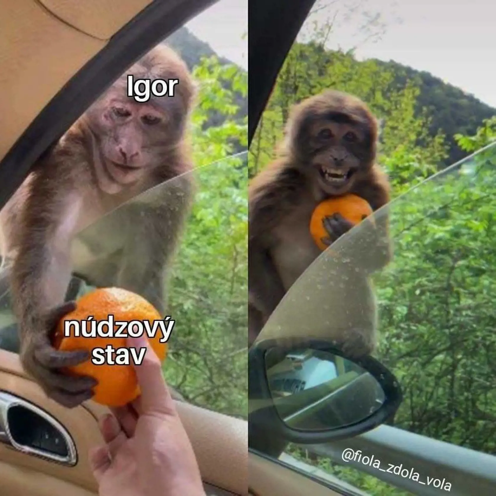 Núdzový stav a Igor