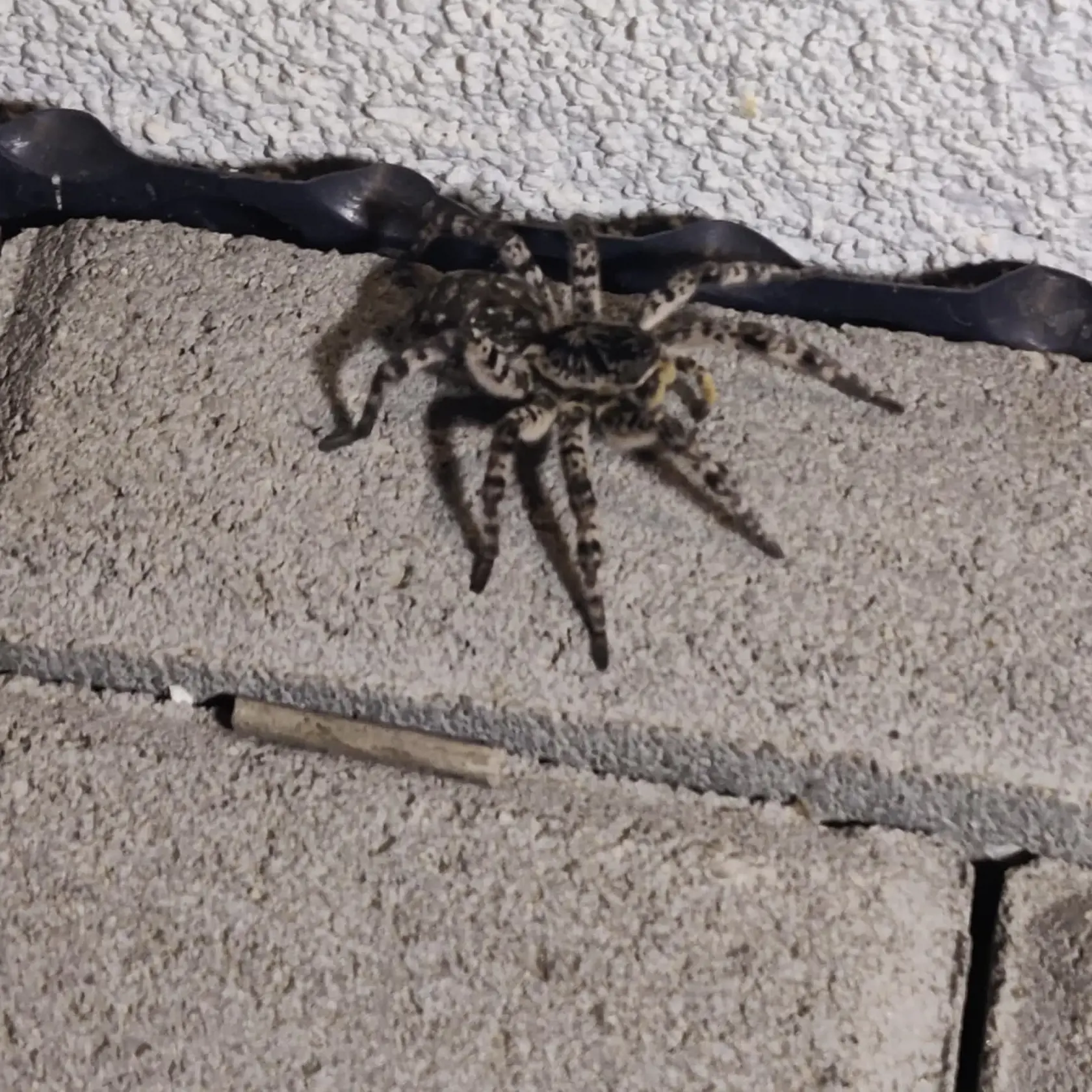 Fotogtafiu nám poslal Martin.