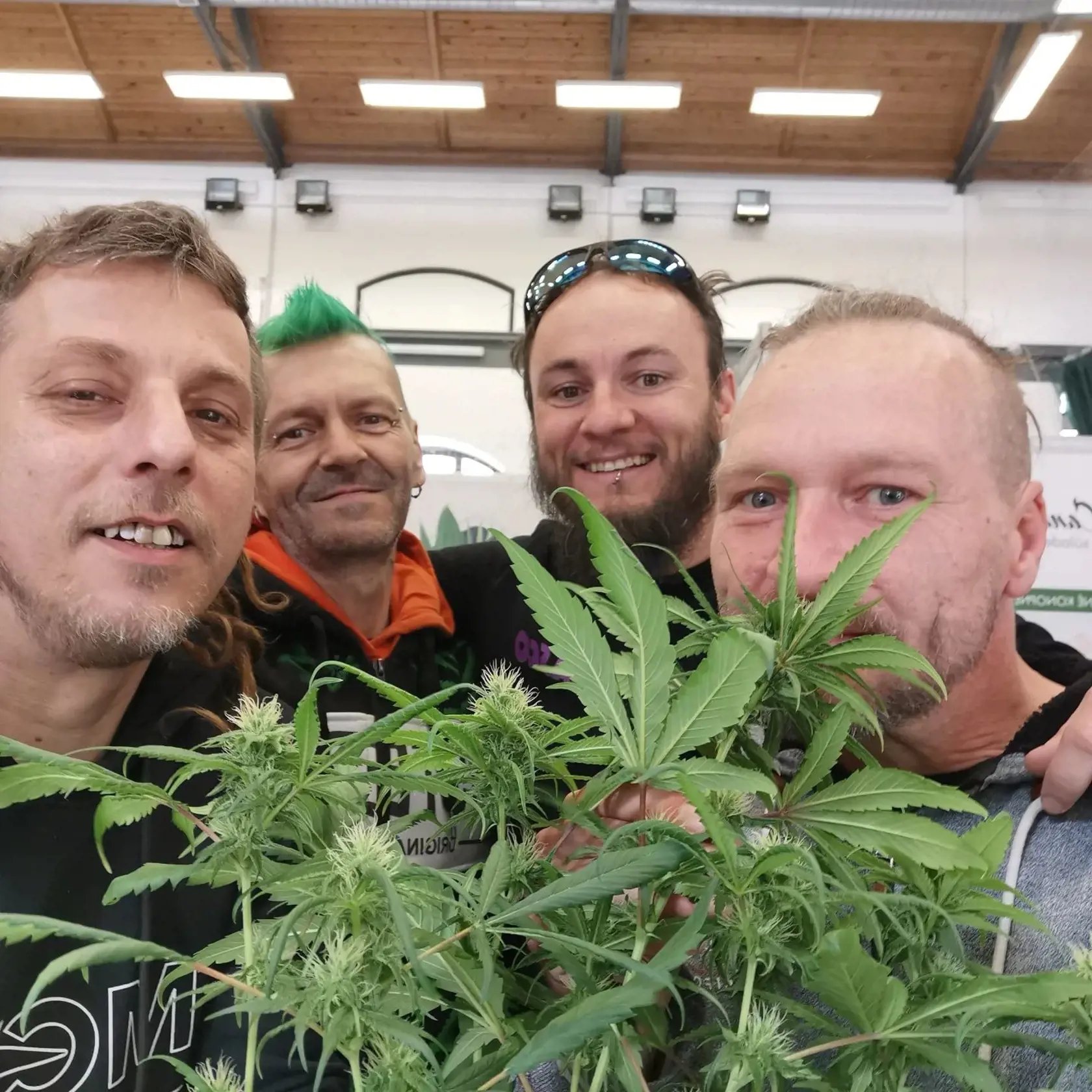 Podporovatelia Josefa Šipoša. Marihuanu považujú za liečivú bylinku. Škodlivosť tejto drogy si odmietajú pripustiť.