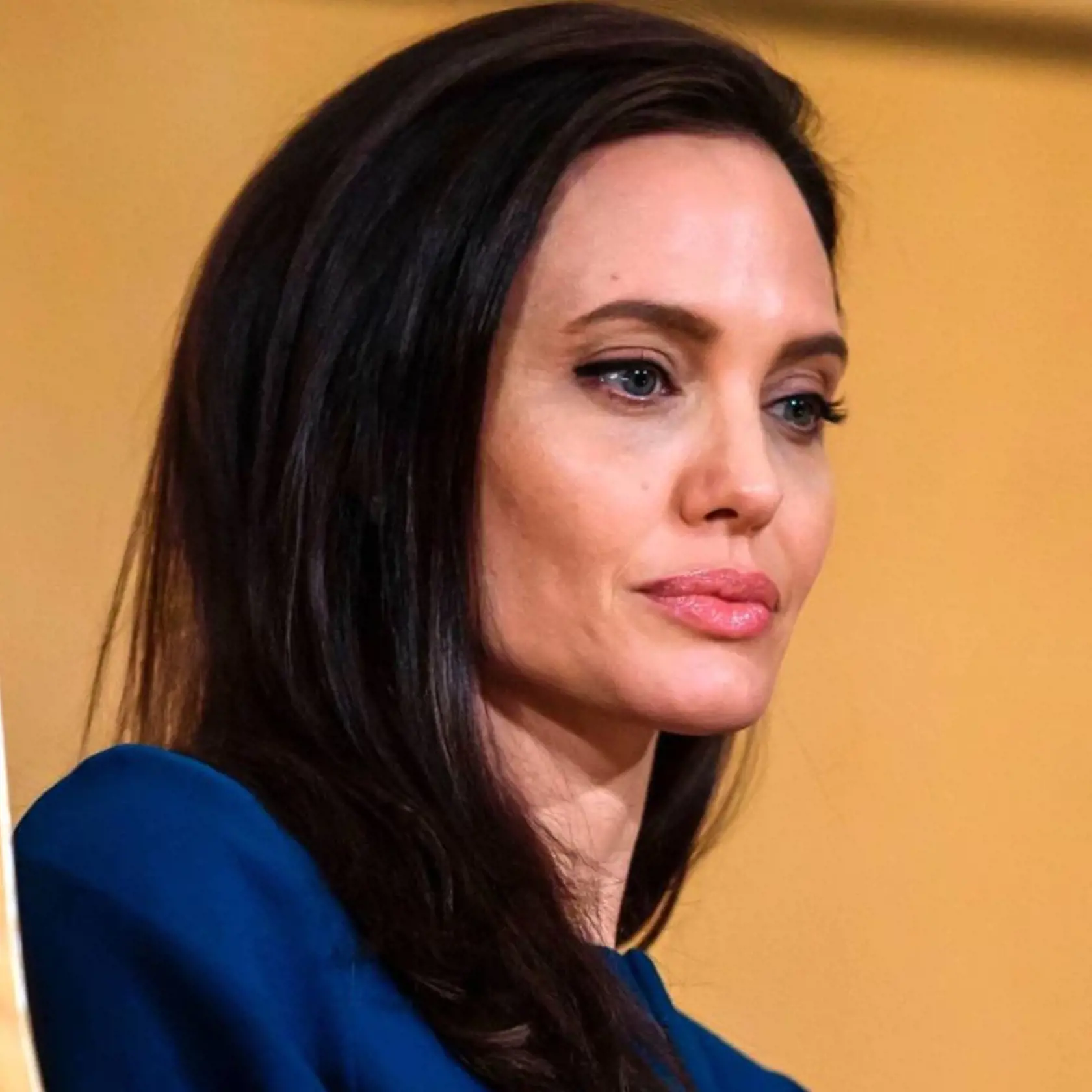 herečka Angelina Jolie