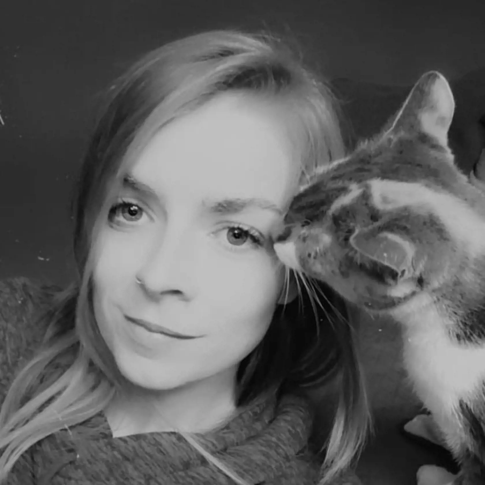 Takto vyzerá dnes.