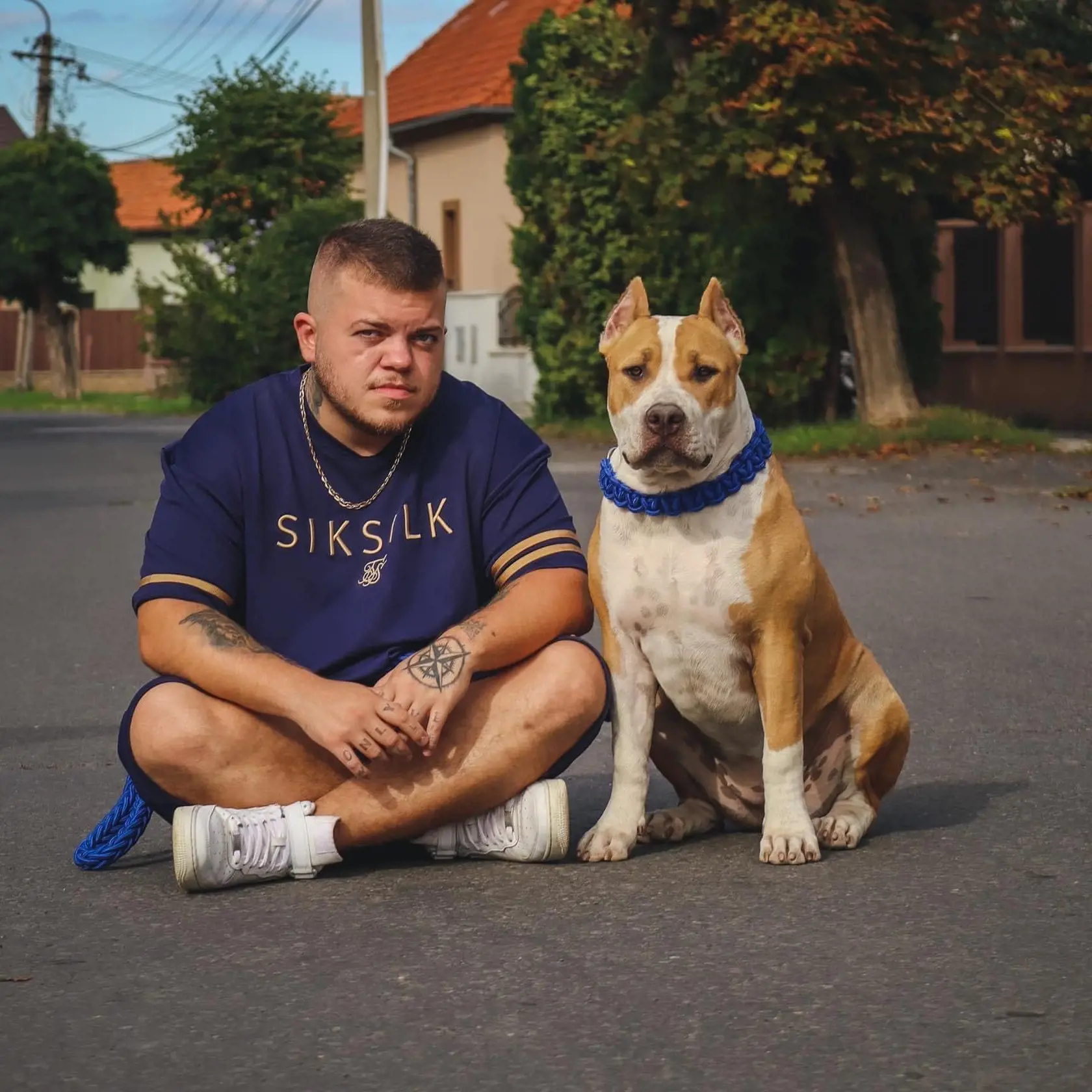 Adam Kučera aktuálne chová 15 psíkov American bully.