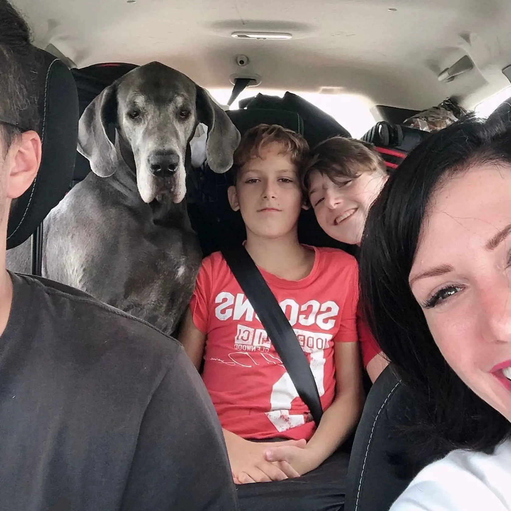 "MOJI TRAJA CHLAPI A PES 💚💚🐕💚," napísala poslankyňa Cigániková k vtipnej fotke.