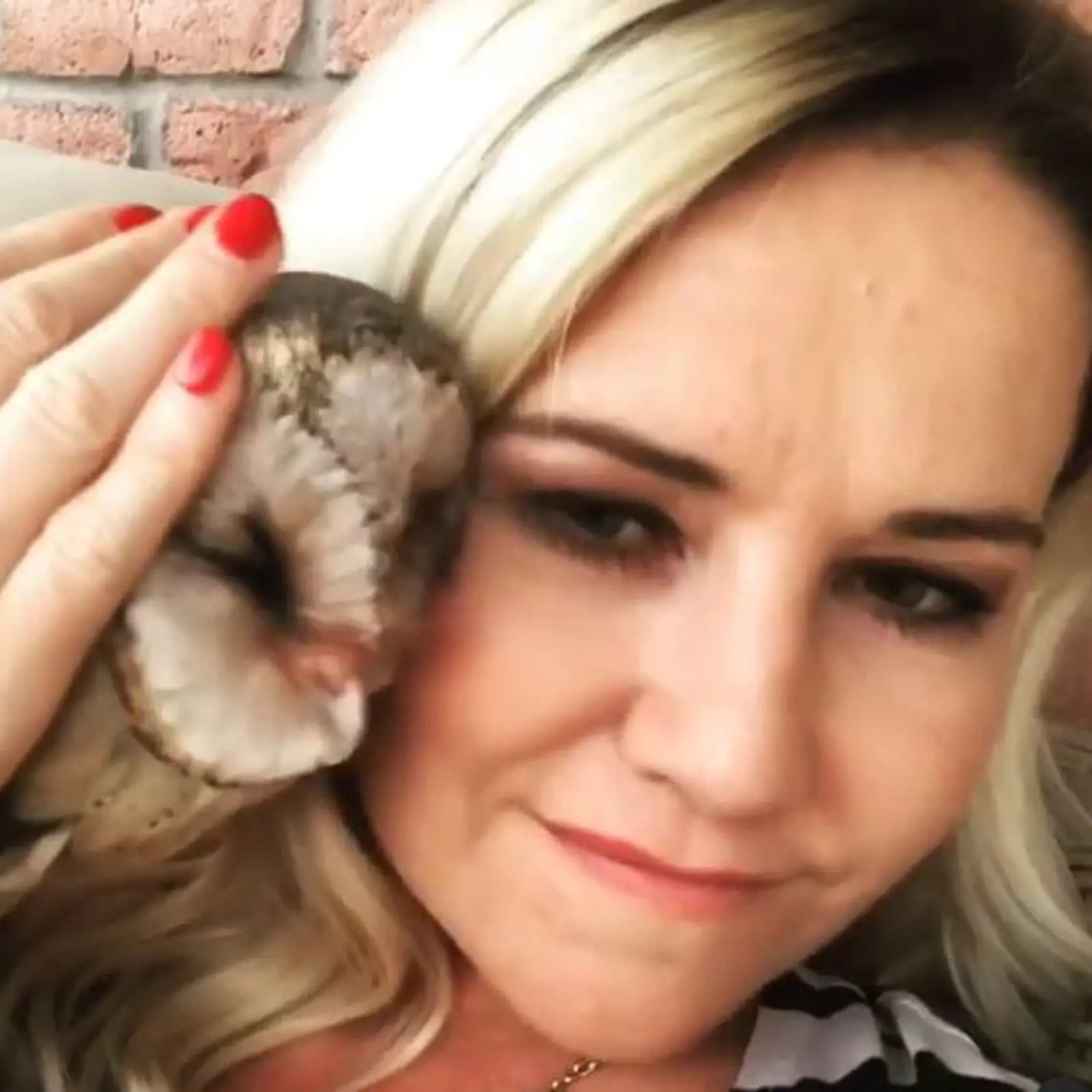Zuzana HaaSOVÁ a a jej sova.