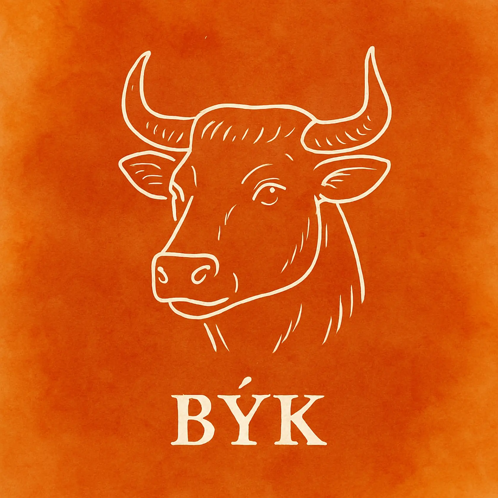Býk