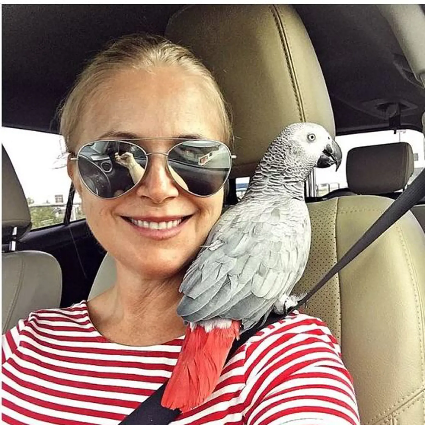 Zuzana Vačková mala 5 rokov hovoriaceho papagája Bejby, o ktorého rodina nečakane prišla pred dvomi rokmi. „Ťažko sa s tým učím žiť. Naša Bejby s nami bola päť krásnych rokov,“ napísala vtedy na sociálnej sieti Zuzana s tým, že samička žaka odišla náhle a nečakane.