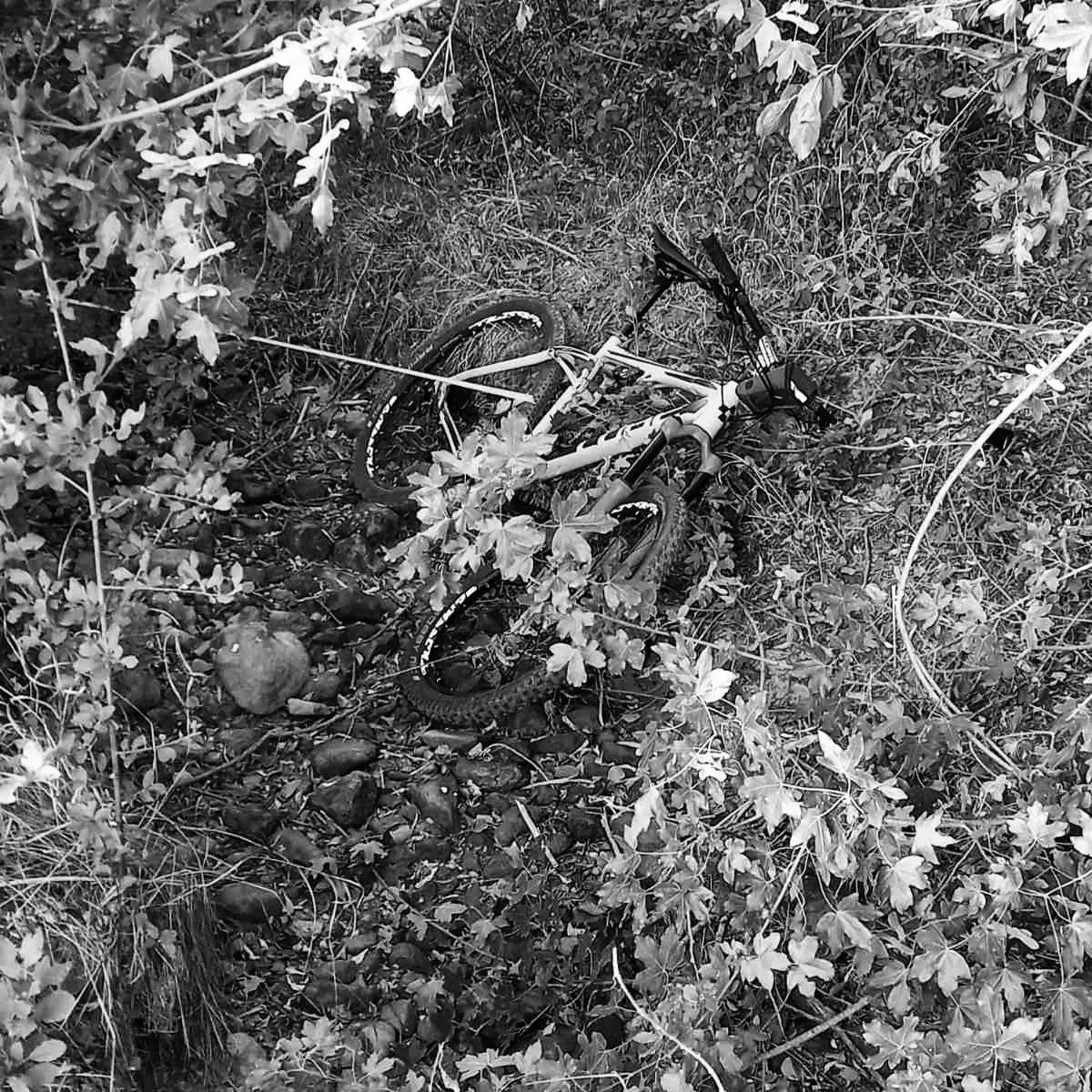 Polícia zverejnila fotografie z tragickej nehody, pri ktorej zomreli dvaja cyklisti - hasiči.