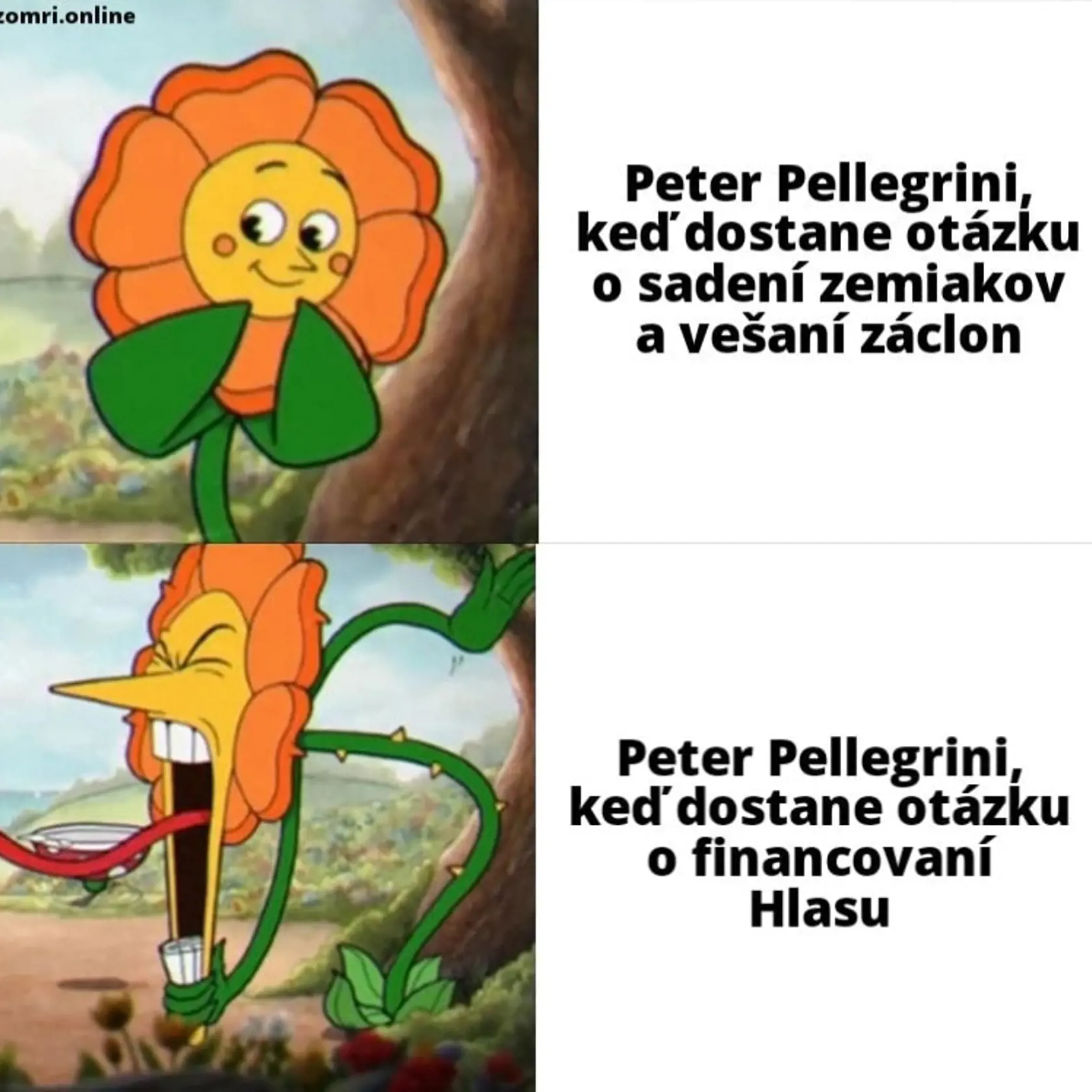 Petra Pellegriniho na tlačovej konferencii rozčúlila novinárska otázka o financovaní strany.
