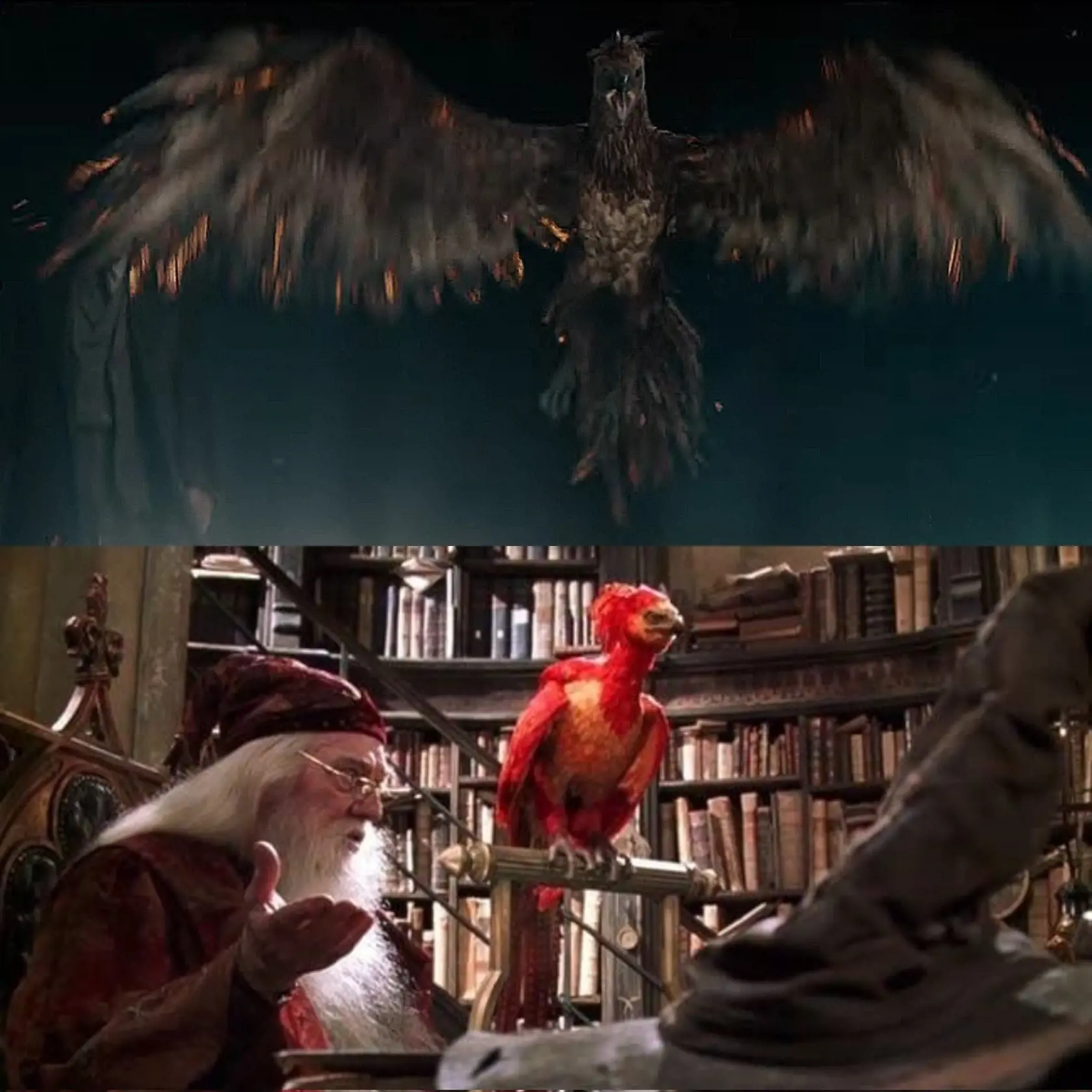 Fénix vo filme vyzeral ako skutočný vták.
