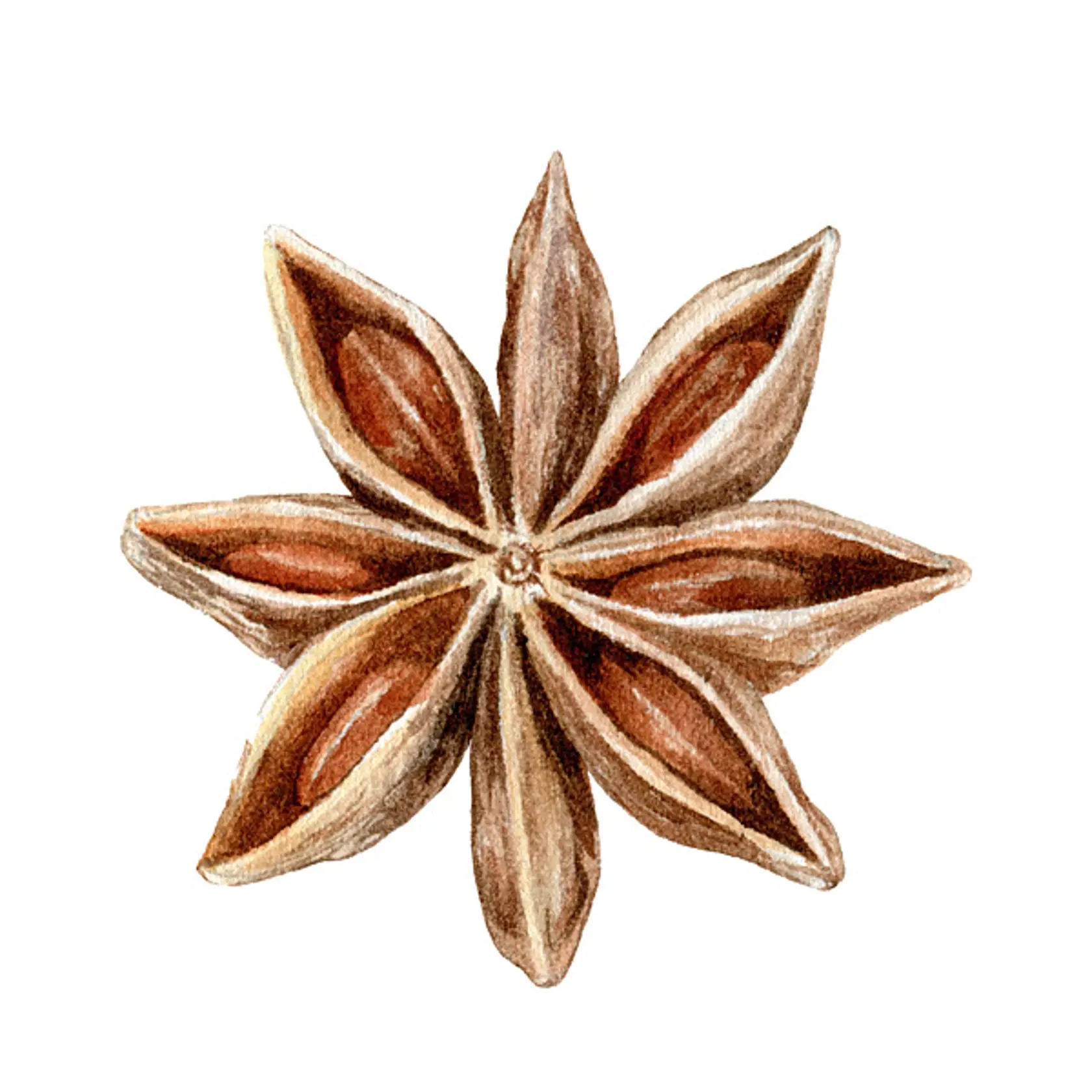 Aníz