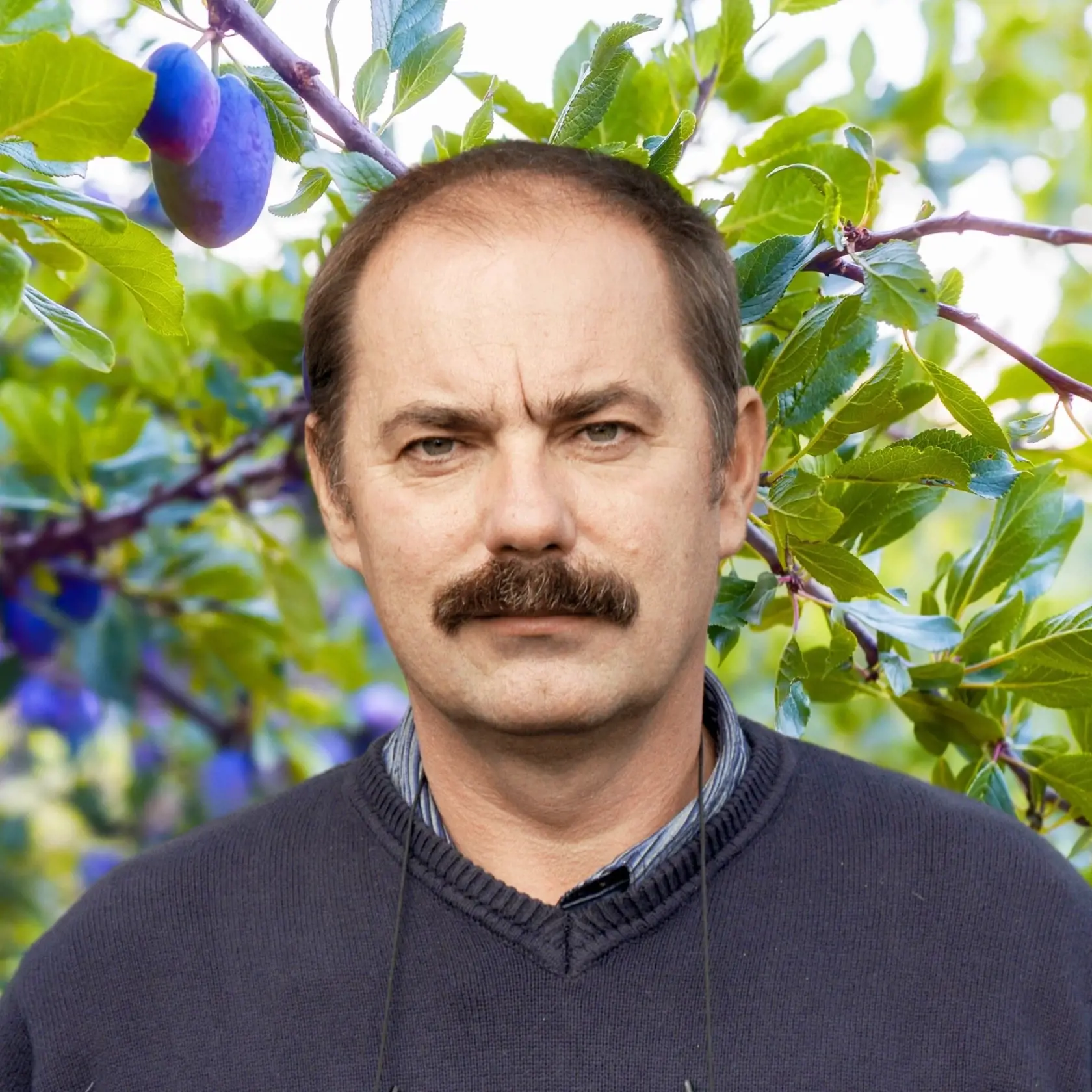Ing. Samuel MICHÁLEK, ovocinár