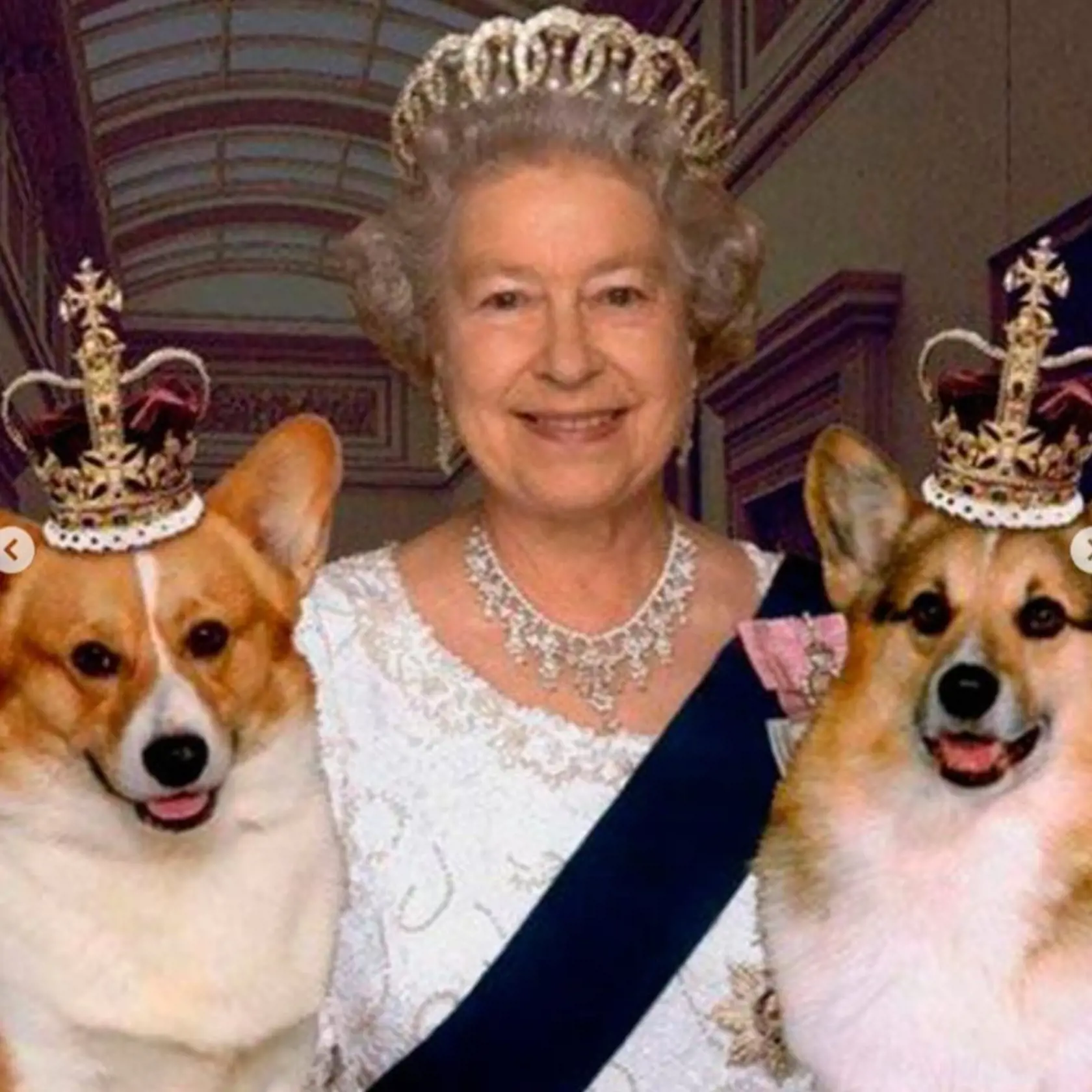 Od chvíle, keď jej otec dal ako darček k 18. narodeninám psa, poskytovali corgi kráľovnej verné spoločenstvo viac ako 70 rokov.