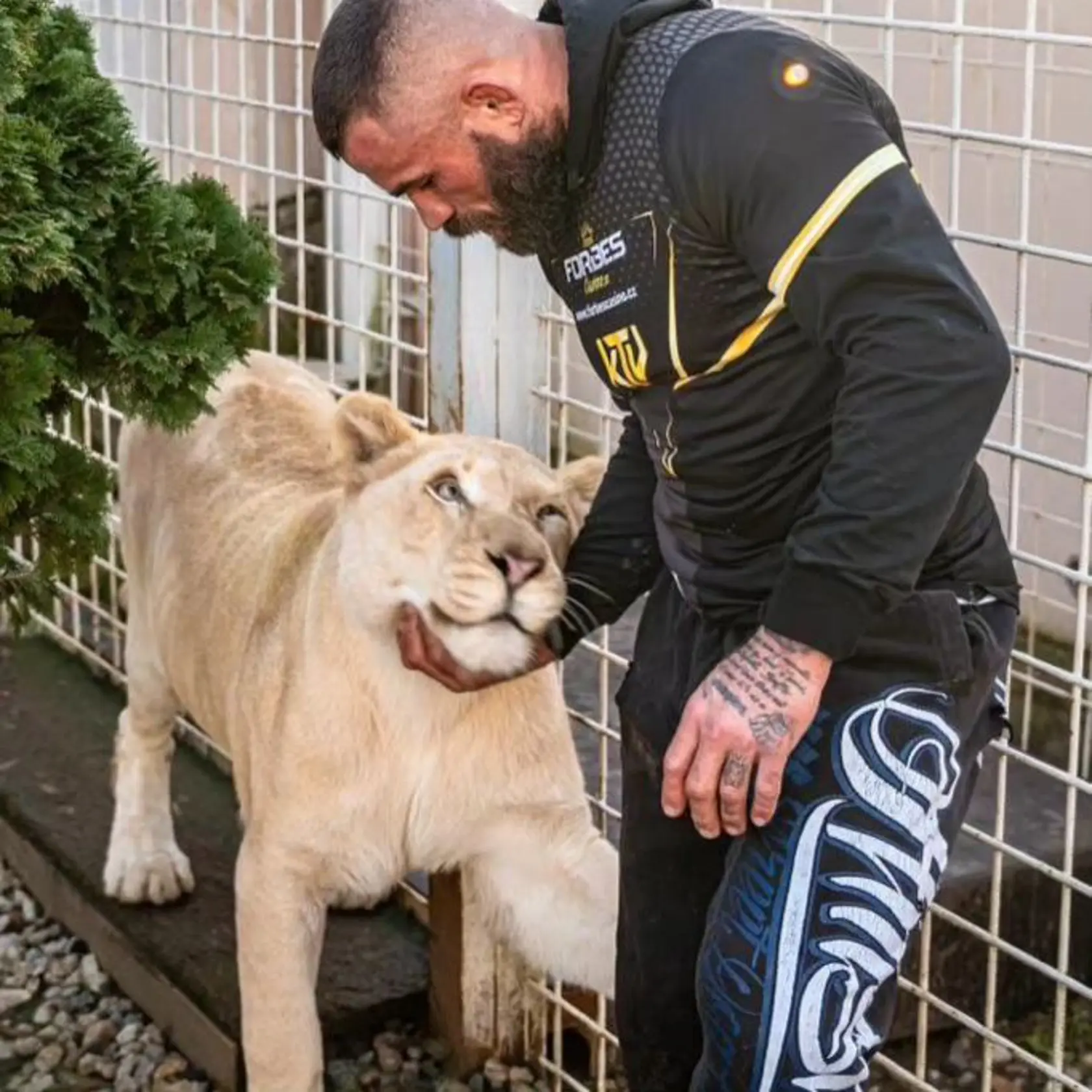 Český bojovník má doma hotovú zoo.