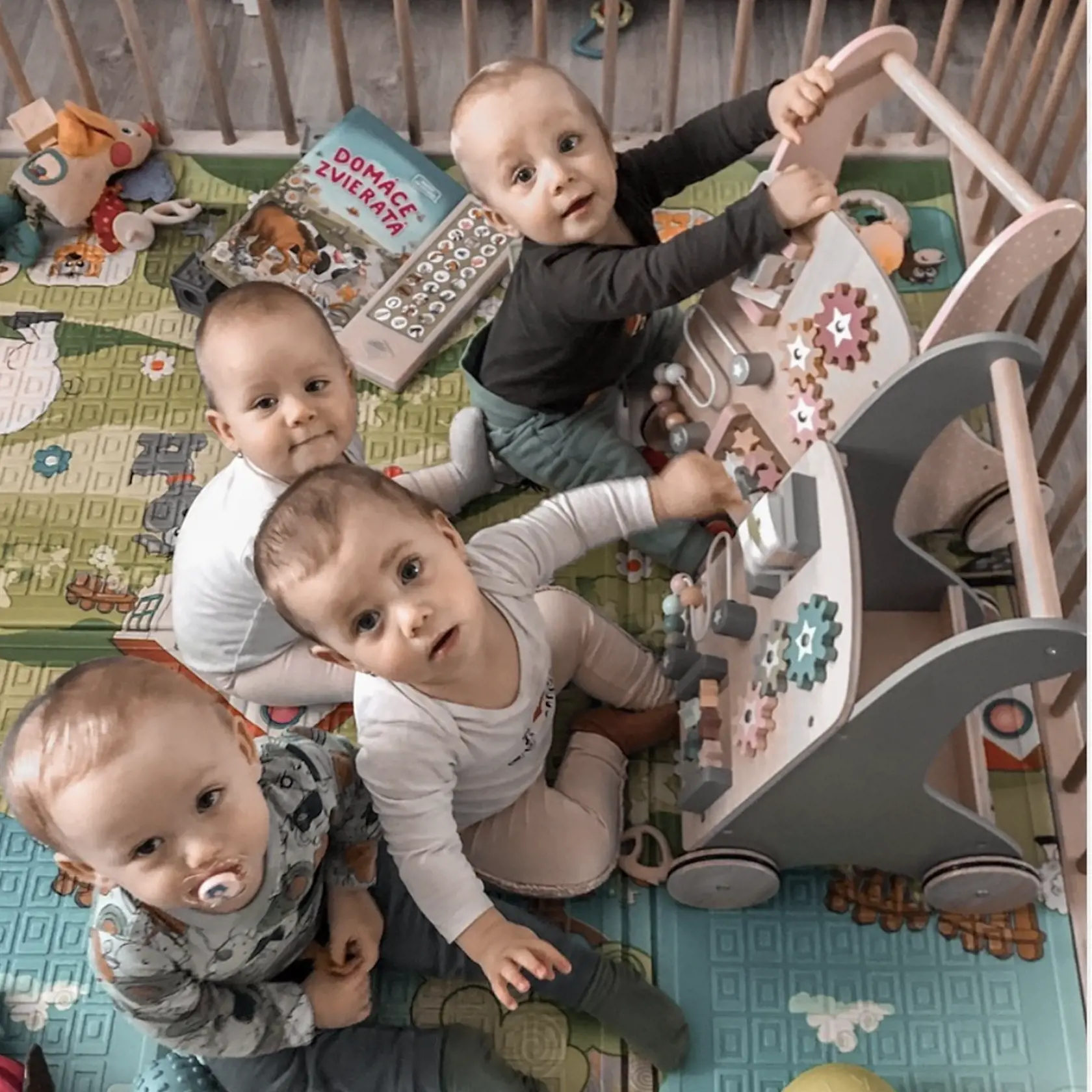 Už sa vedia spoločne zahrať. Dokonca aj pobiť. "Mladšie dieťa sa to naučí od staršieho. Oni sa nemali od koho a predsa to vedia," smeje sa Veronika.