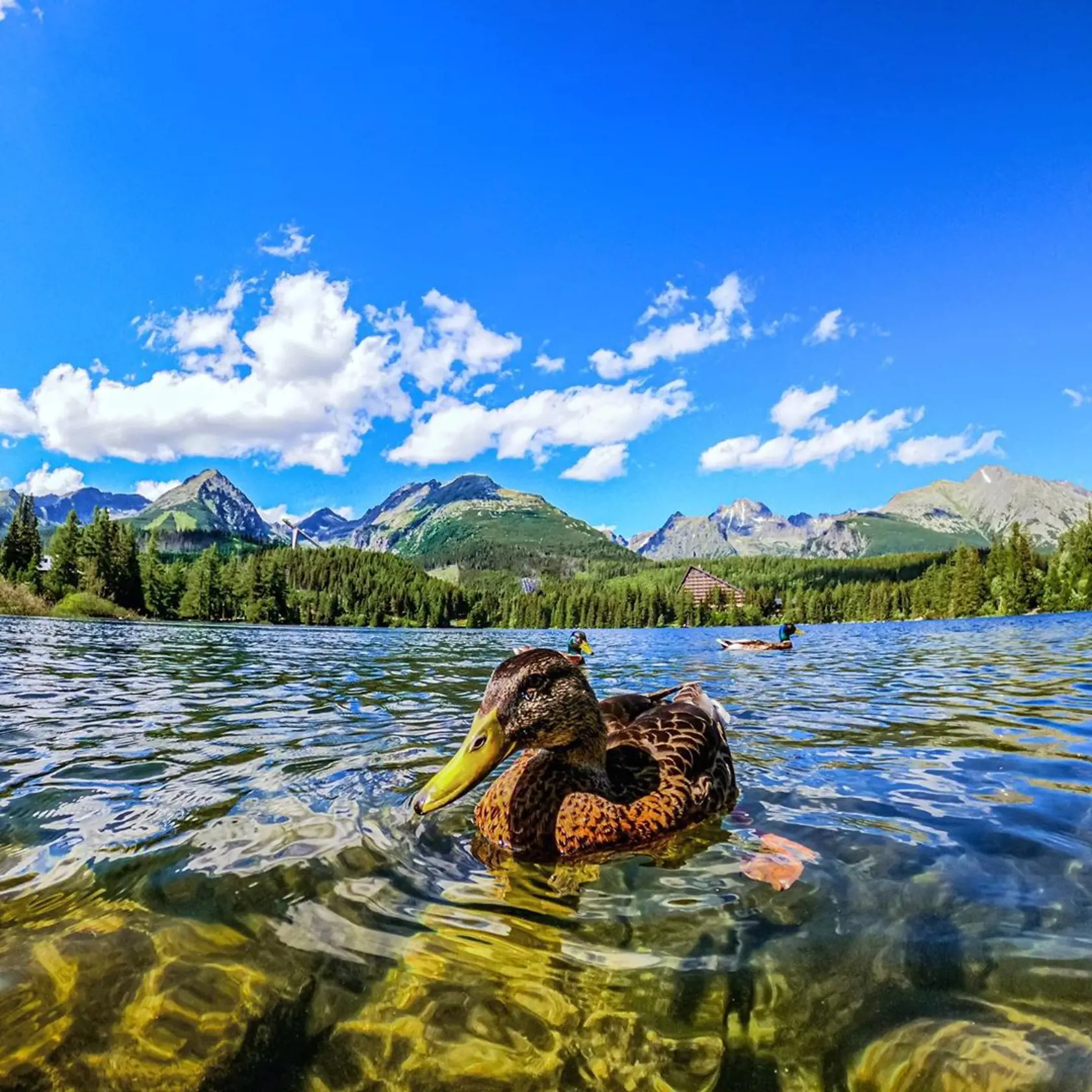 Štrbské pleso.