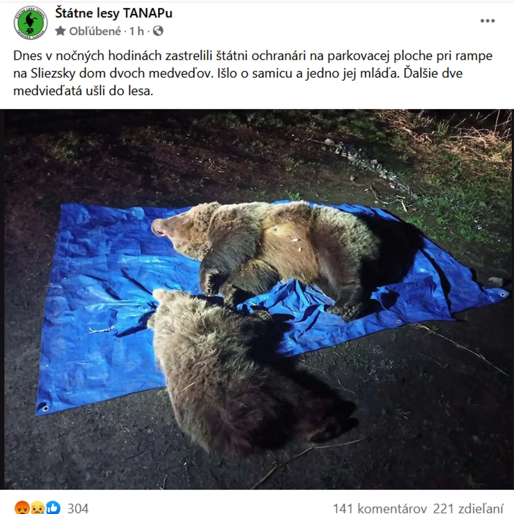 Reakcie na usmrtenie medvedice a jej medvieďatka sú búrlivé