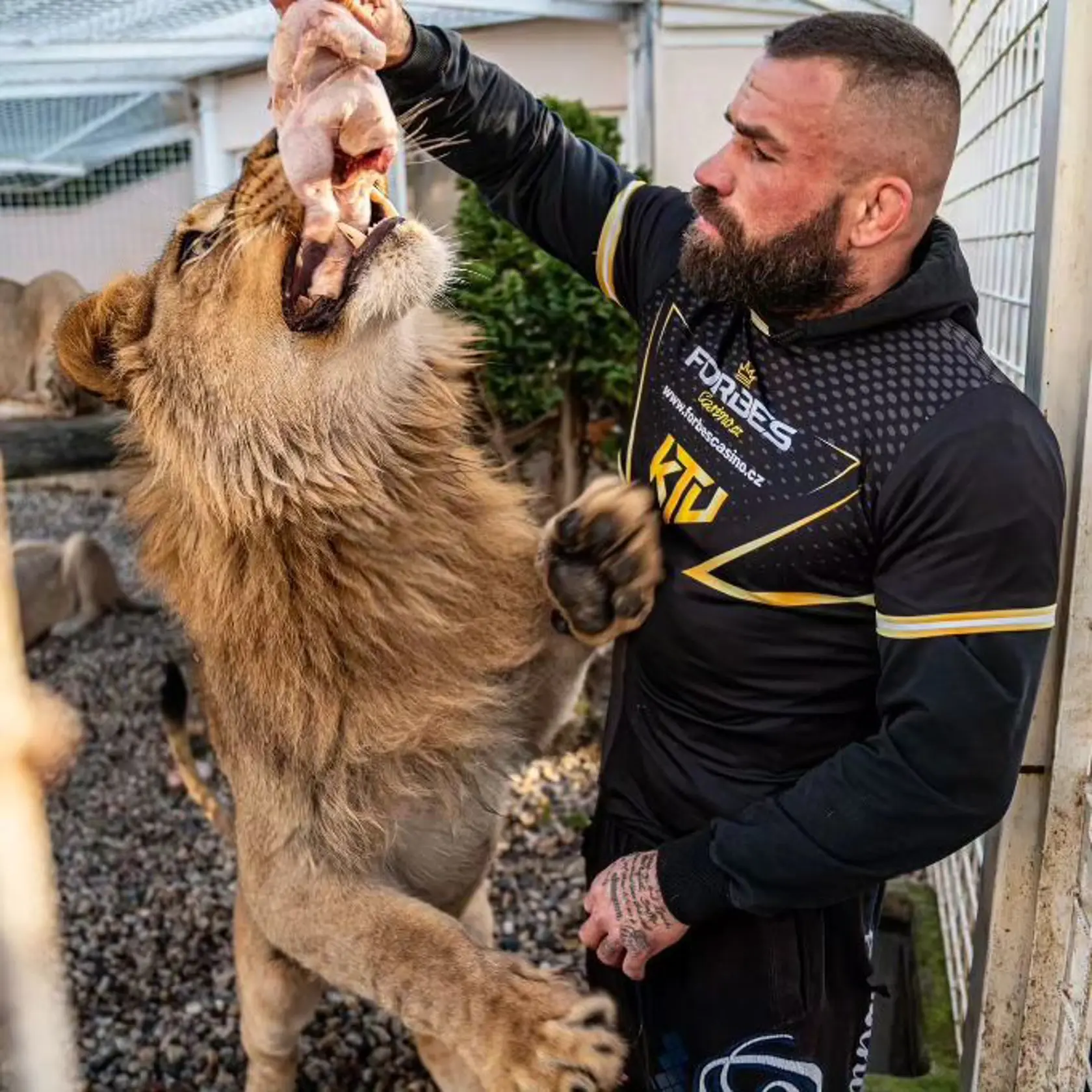 Český bojovník má doma hotovú zoo.