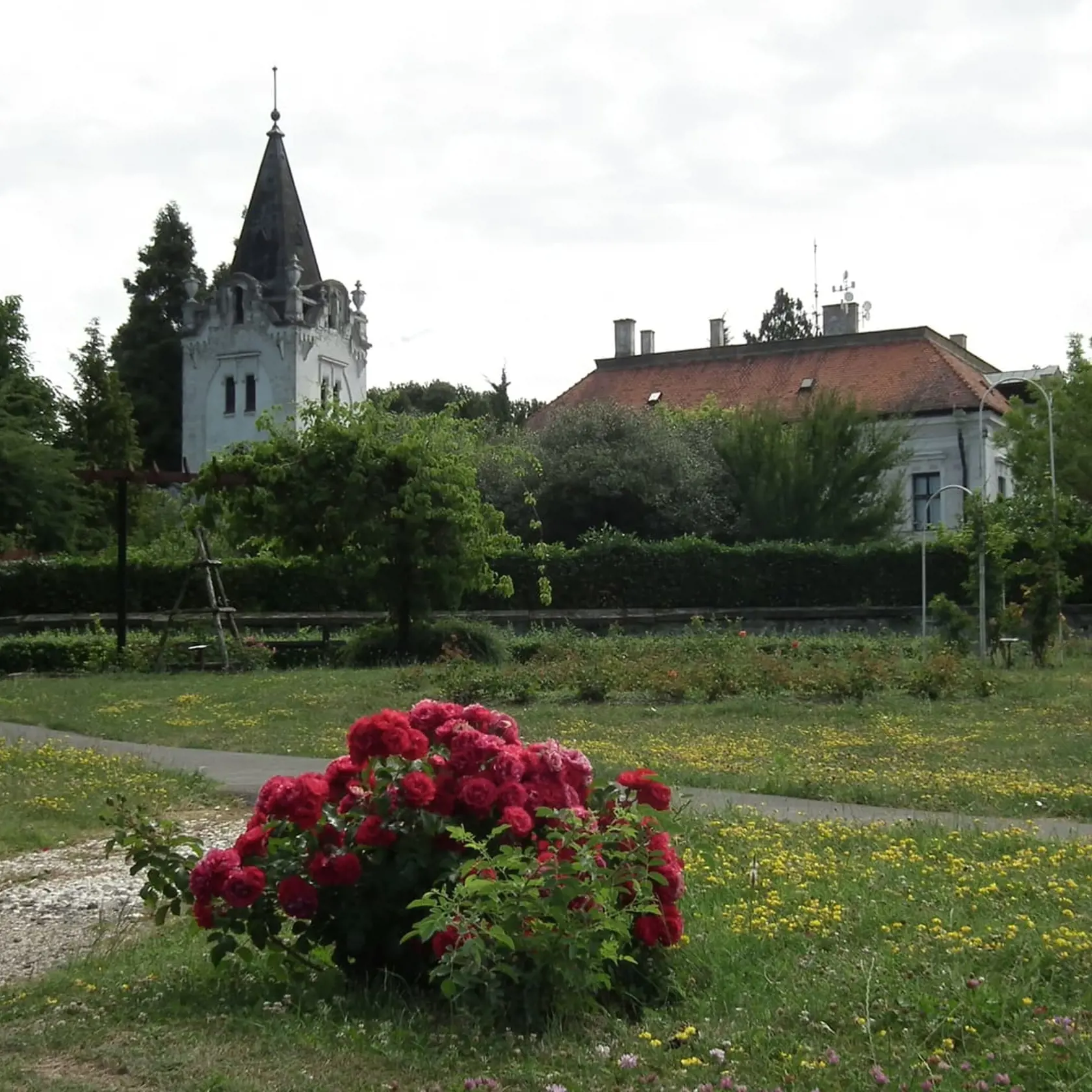 Arborétum Mlyňany je miesto, kde si milovník krásy skutočne príde na svoje.
