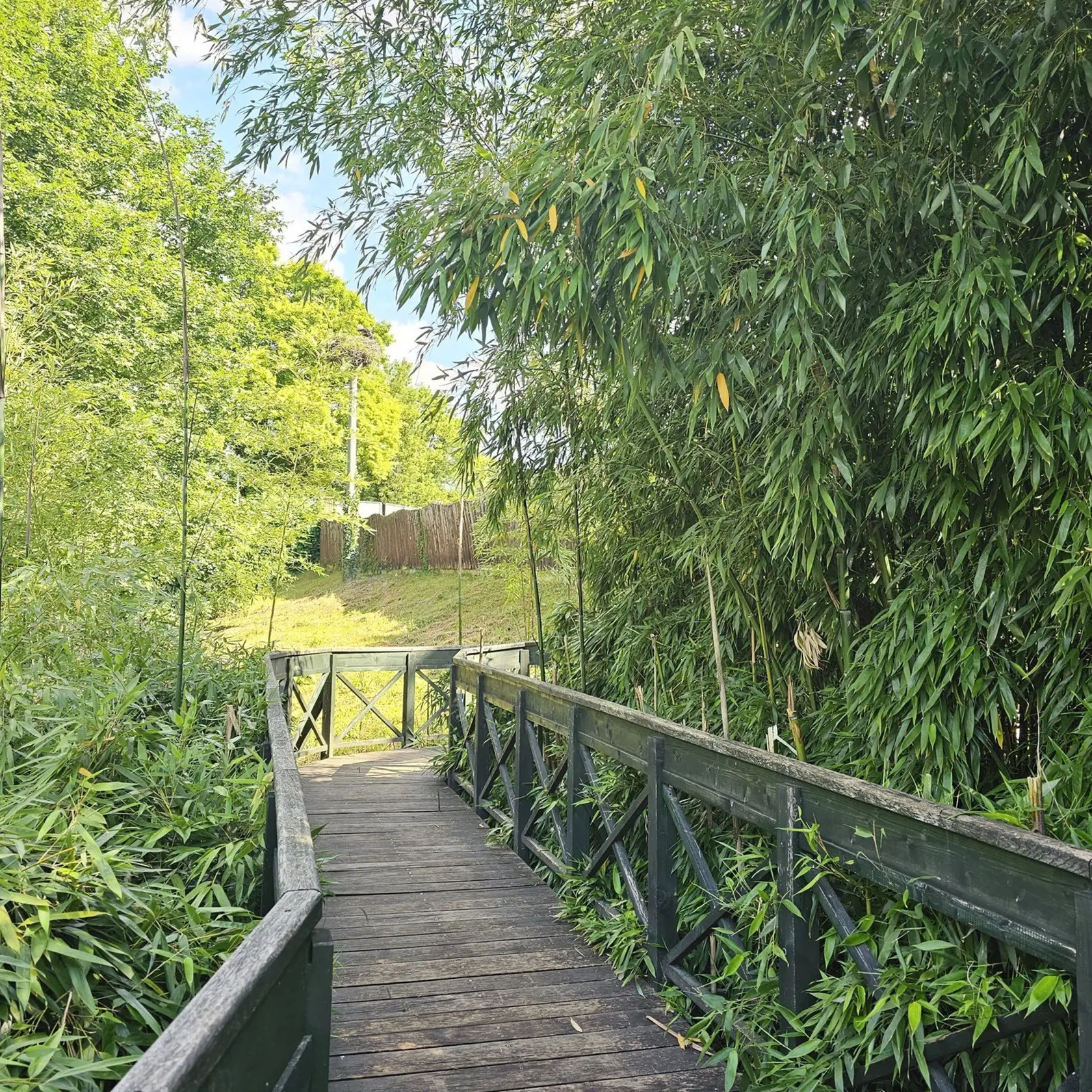Zoo Bojnice oslavuje tento rok 70 rokov od otvorenia.