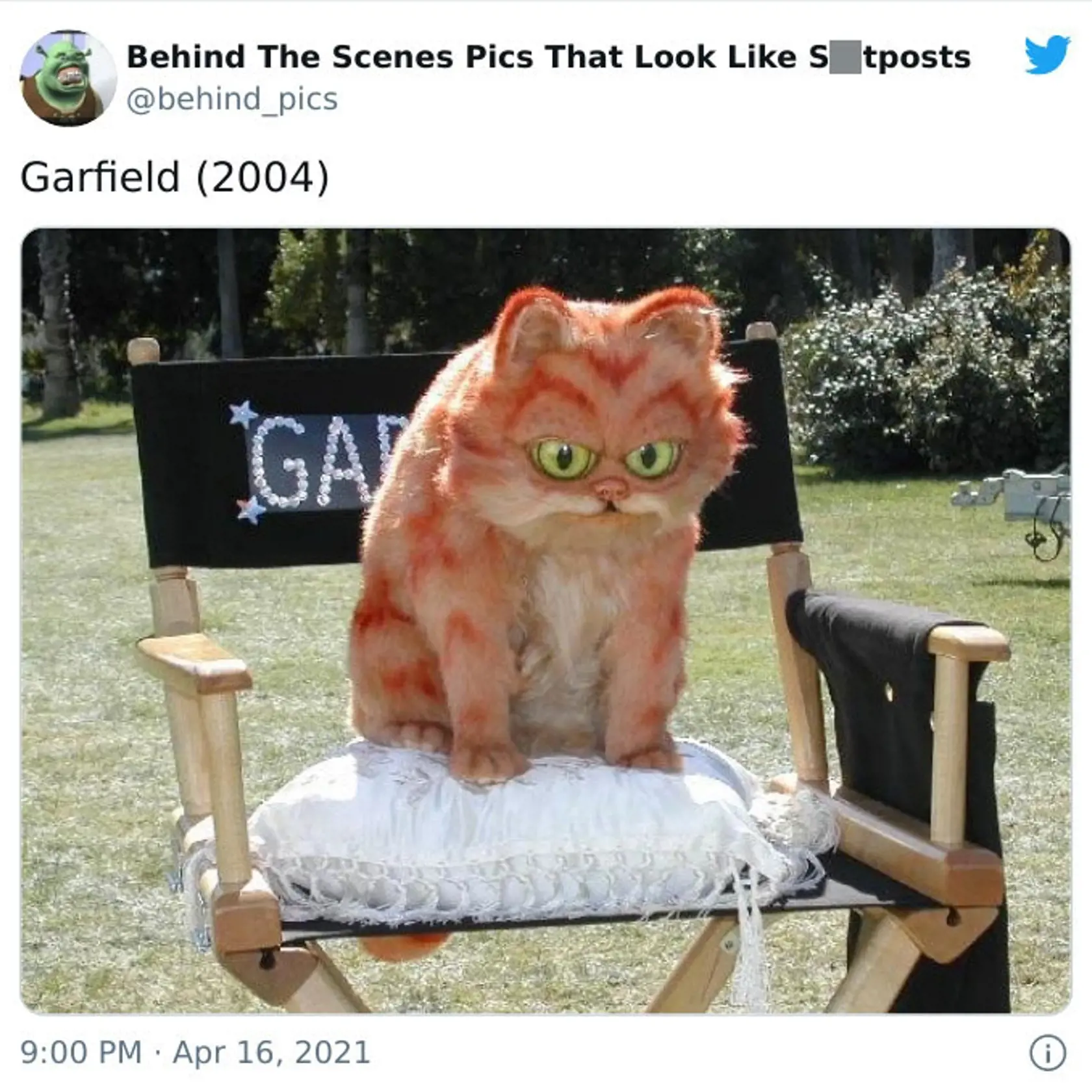Garfield (2004)