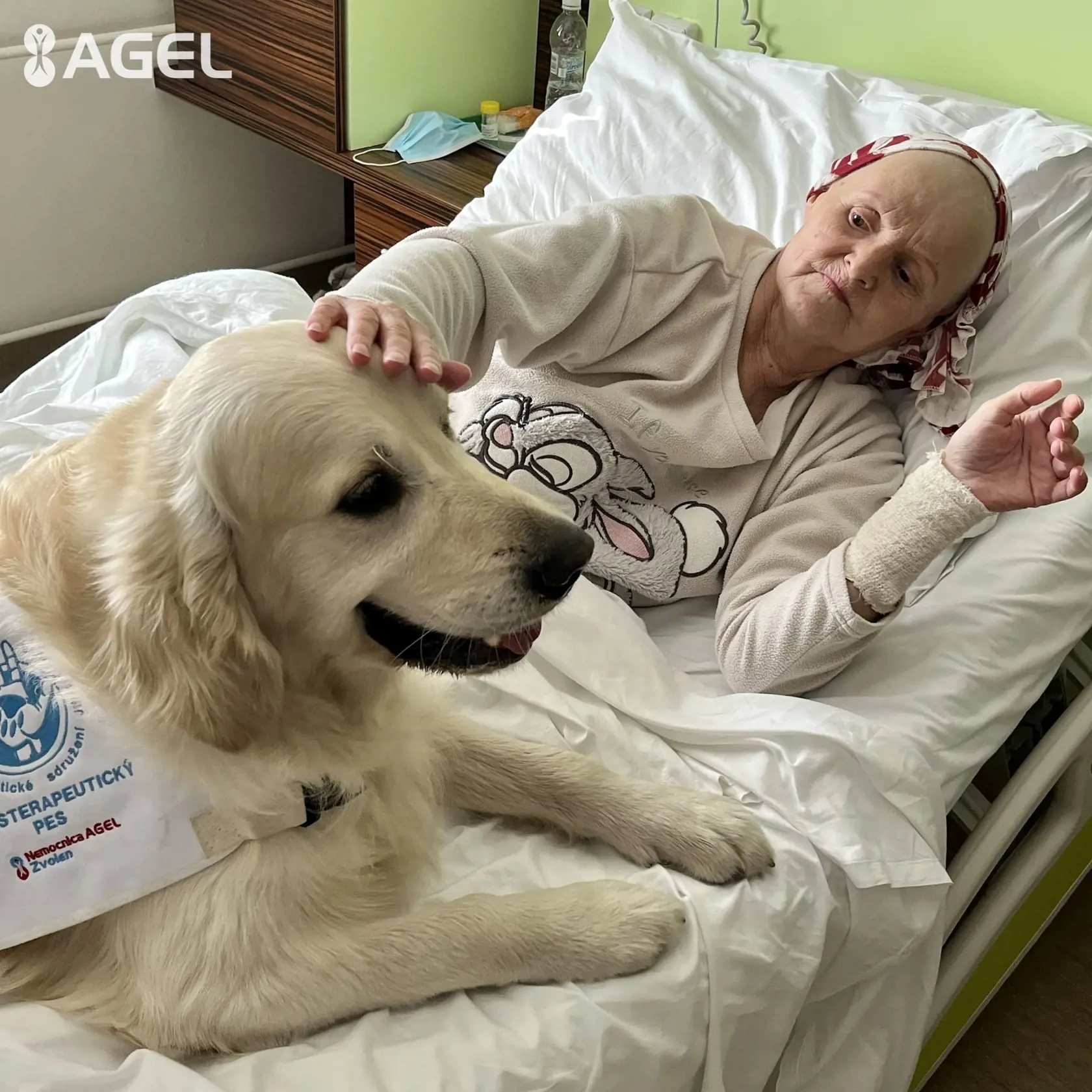 Canisterapia je forma liečby a terapie, ktorá využíva interakciu medzi ľuďmi a vycvičenými psami. Jej hlavným cieľom je za pomoci zvieraťa rozvíjať a udržiavať u pacientov schopnosť komunikovať a sústrediť sa. Zlepšiť má aj ich duševnú pohodu a pokúsiť sa vymaniť ich z každodennej rutiny, ktorú v nemocnici zažívajú. "Je dobré, keď ten istý psík navštevuje jedno zariadenie.