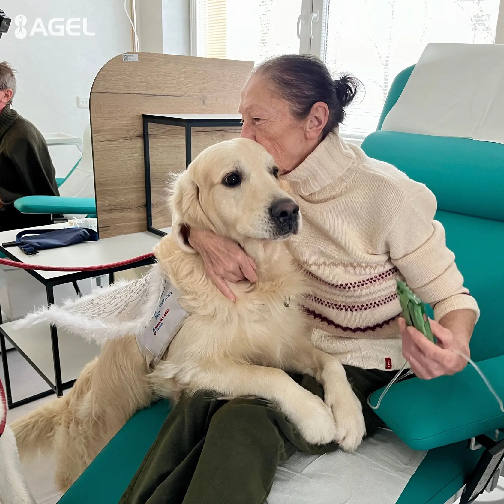 Do nemocnice chodia viackrát do týždňa. Navštevujú neurologické, interné i nadštandardné oddelenie. Súčasťou sú aj dom ošetrovateľskej starostlivosti, detské oddelenie a onkologická ambulancia. Psy sú podľa hovorkyne pred každou návštevou nemocnice vykúpané a vyčesané.
