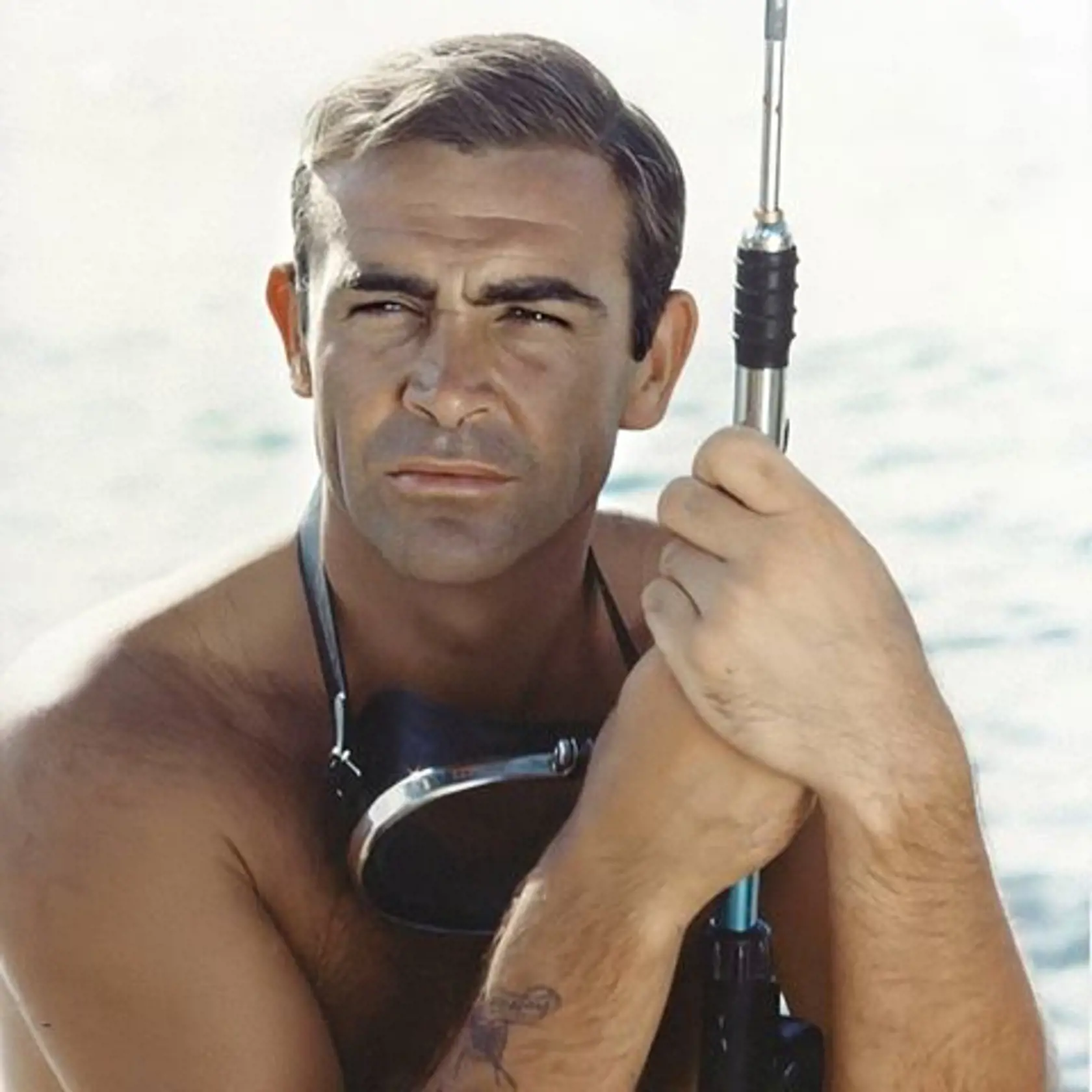 Po prvých malých úlohách v divadlách, televízii a vo filmoch prišla v roku 1962 ponuka stvárniť  Jamesa Bonda vo filme Dr. No a do roku 1983 sa Connery objavil v ďalších šiestich filmoch.