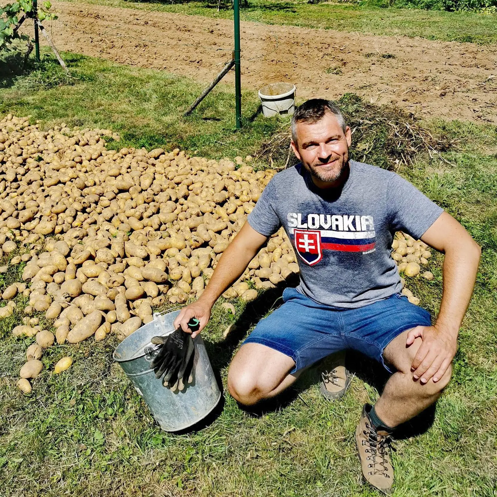 Peter Pellegrini sa počas víkendu nevenoval turistike, ale práci na poli. Ako je z fotografie jasné, rodina expremiéra sa nemusí báť dlhej zimy. Zemiakov budú mať dostatok.