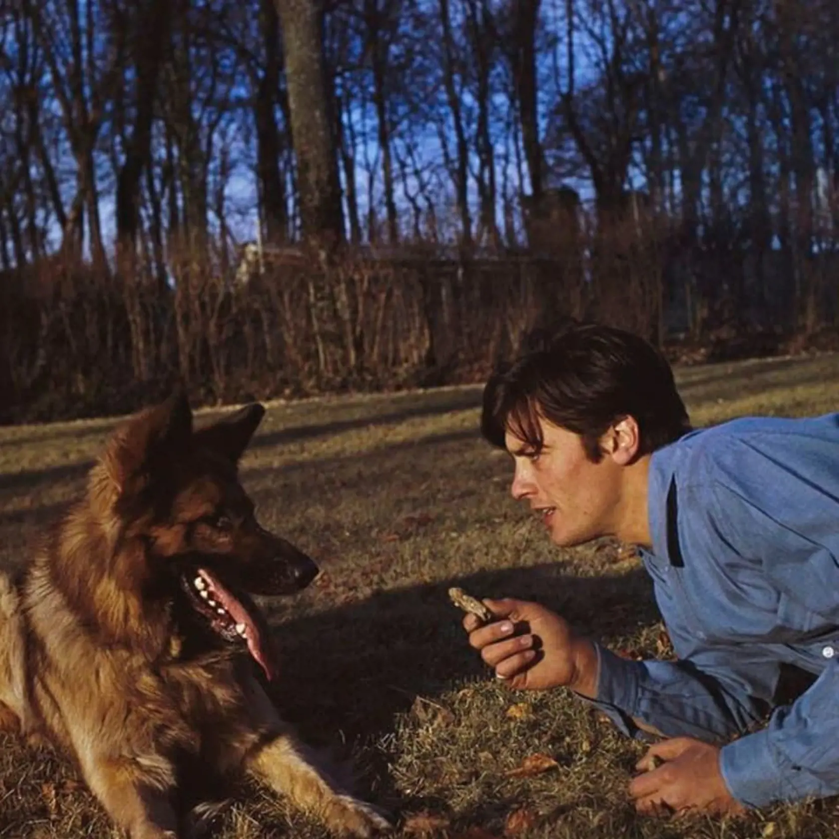 Jedine psi ho bezpodmienečne milovali, myslela si Alain Delon.
