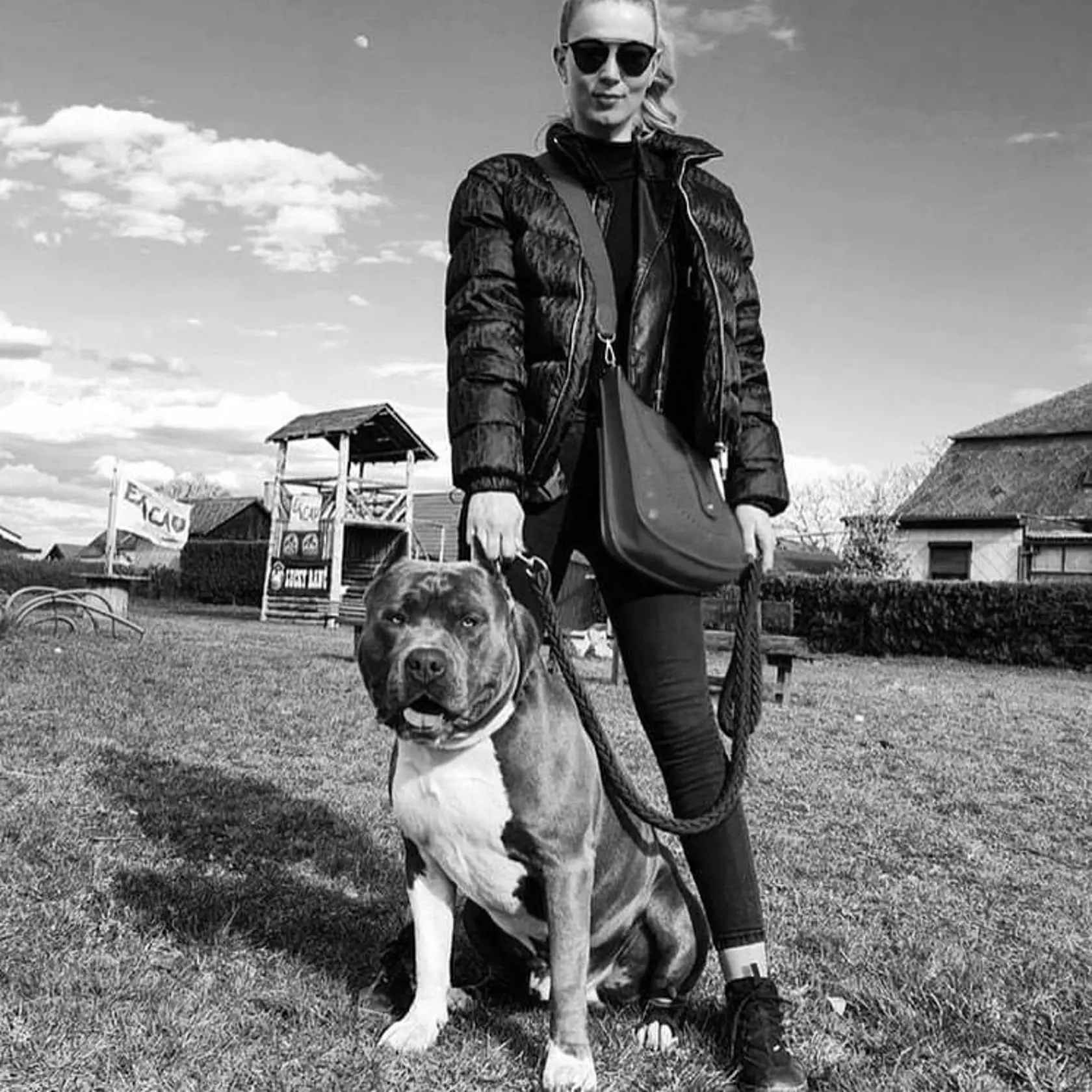American bully je podľa chovateľa Adama Kučeru milujúce plemeno plné lásky k človeku.