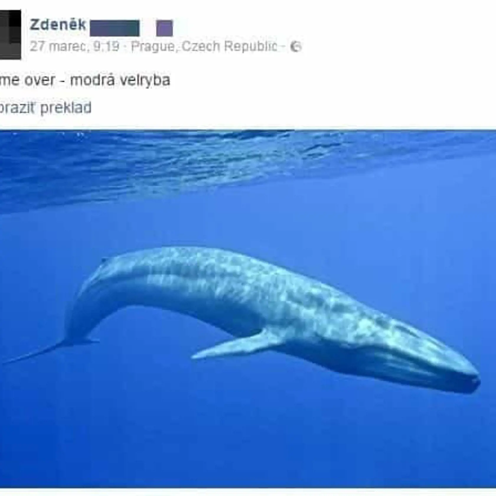 Aj hra „modrá veľryba“ nabádala mladých k samovraždám.
