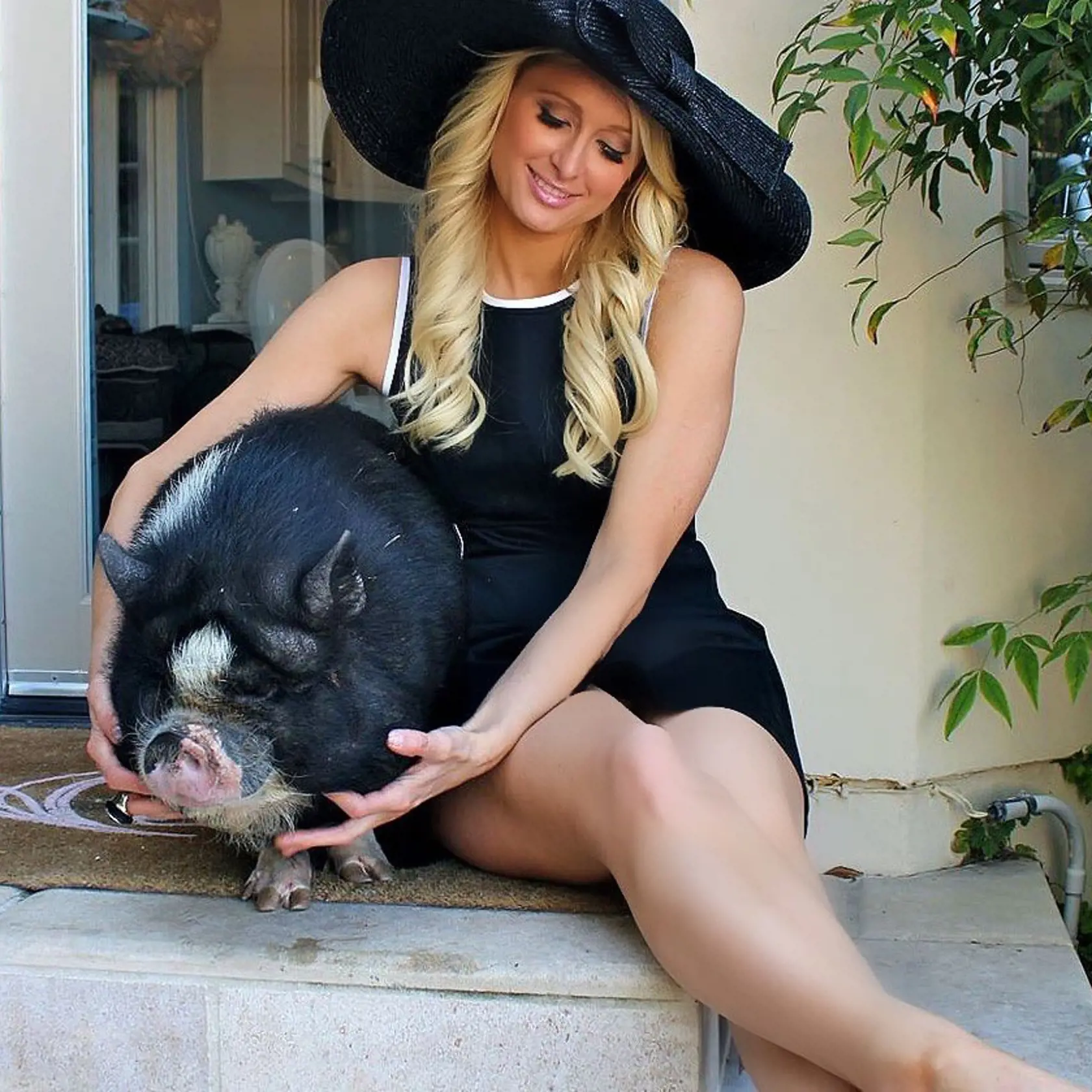 Paris Hilton