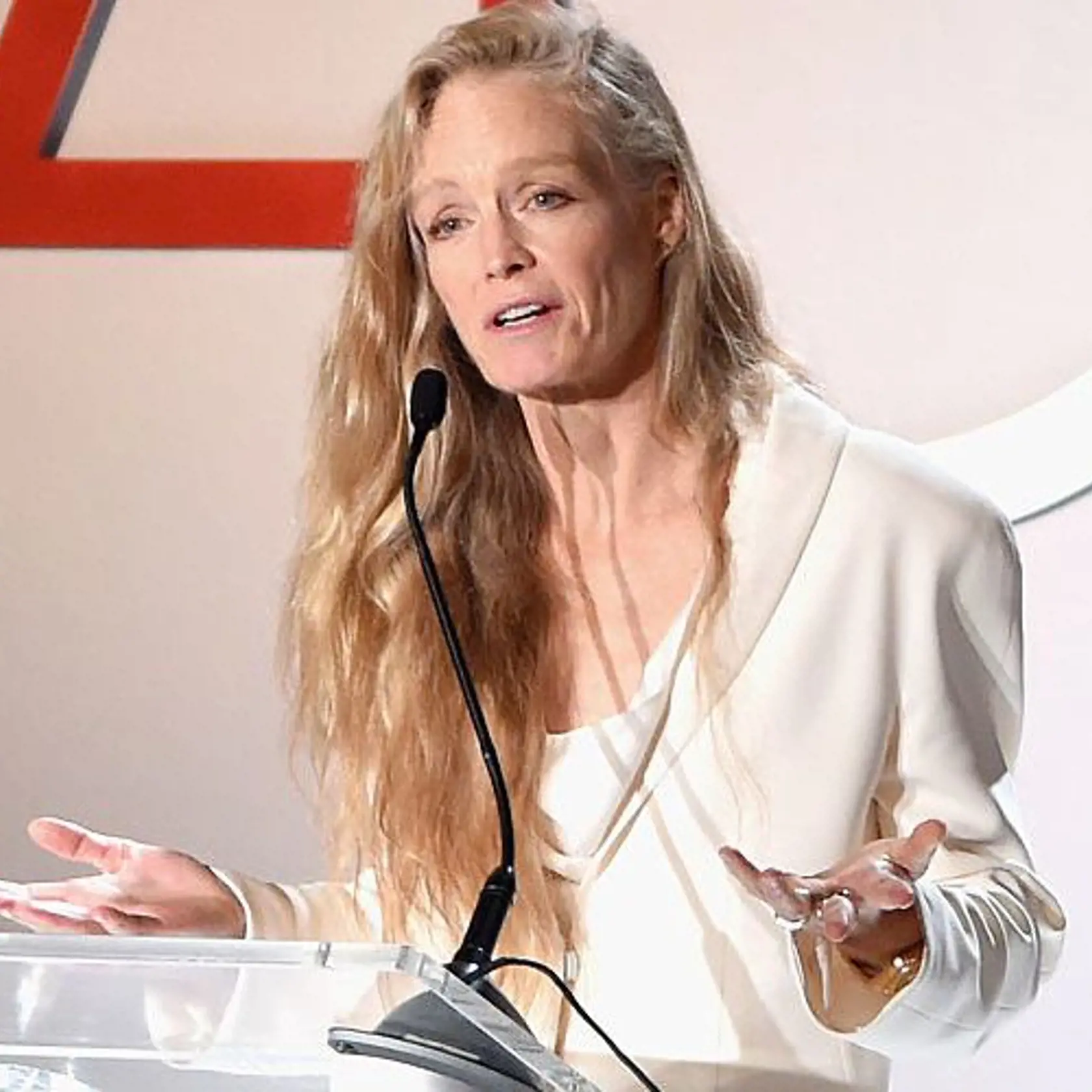 NEW YORK, NY - SEPTEMBER 21:  Suzy Amis Cameron speaks at the Fashion 4 Development's 6th Annual Official First Ladies Luncheon on September 21, 2016 in New York City.  (Photo by Jamie McCarthy/Getty Images for The Hollywood Reporter)