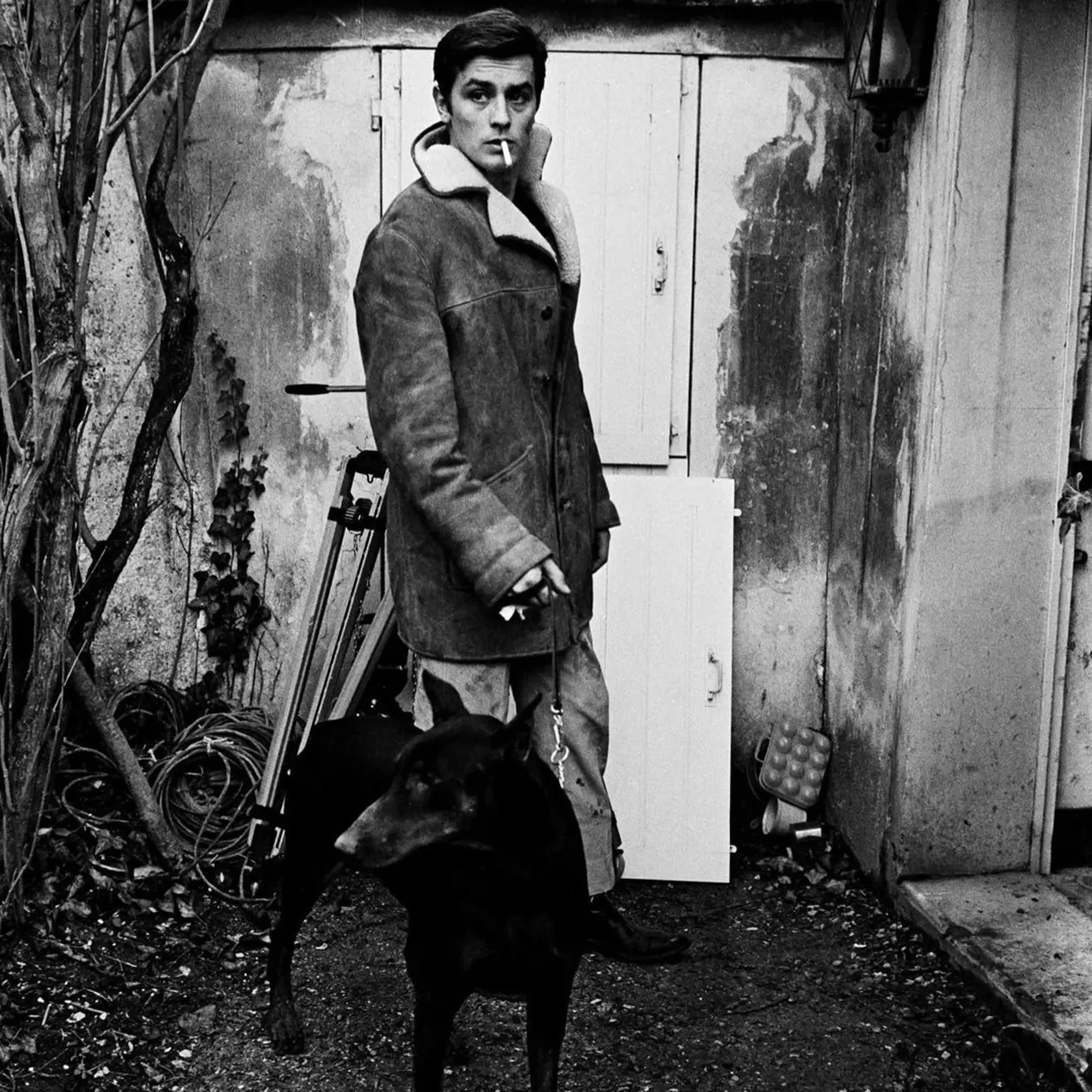 Herec Alain Delon priznal, že na jedného zo svojich prvých psov, sučku dobermana Gaiu, raz pre niečo zakričal a udrel ju po chrbte: „Sadla si, pozerala na mňa a ja som vedel, že plače.“ V tej chvíli všetko pochopil, a to, že psy sú ako ľudia, len lepšie. Odvtedy sa jeho psy vraj len usmievali.