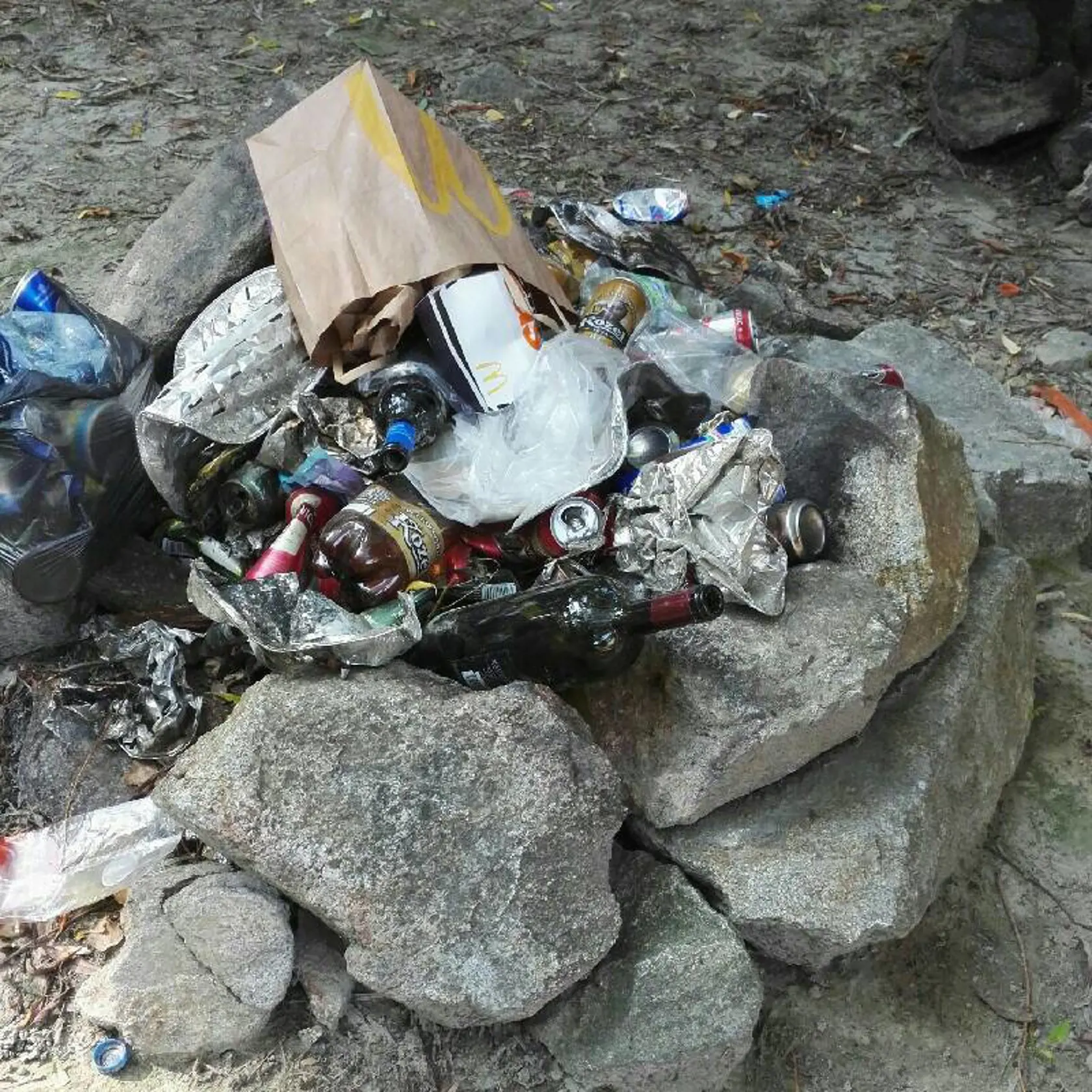 Na Slovensku sa zapojilo približne 550 dobrovoľníkov a vyzbieralo sa 3,8 ton odpadu.