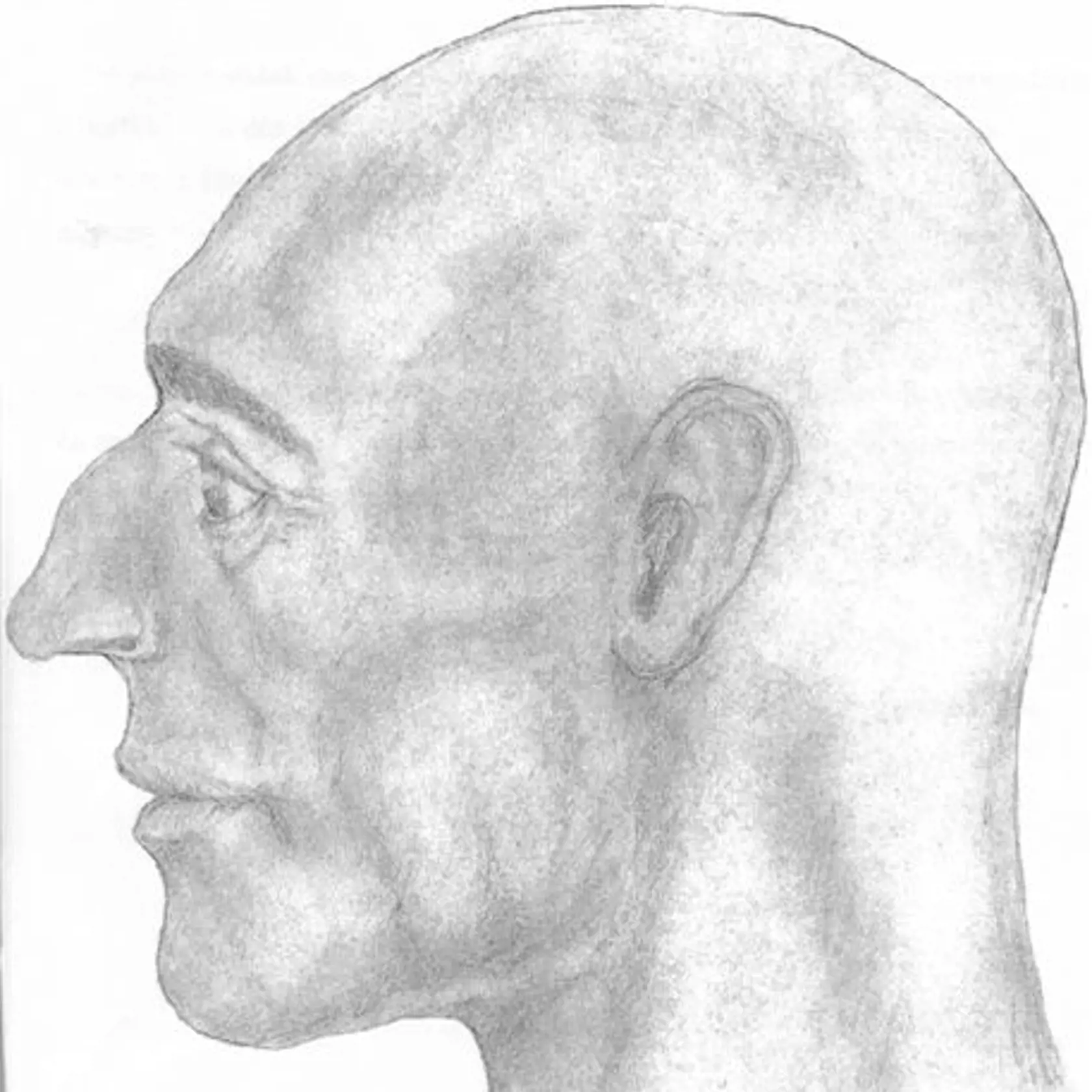 Na snímke grafická rekonštrukcia tváre neznámeho muža, ktorého kostrové pozostatky boli nájdené 7. novembra 2002 v lesnom poraste pohoria Tribeč v katastri obce Solčany v lesnom obvode Dekanová.  Podľa súdneho znalca bol muž vysoký približne 175 až 180 centimetrov, zavalitej postavy s váhou zhruba 90 kilogramov.
