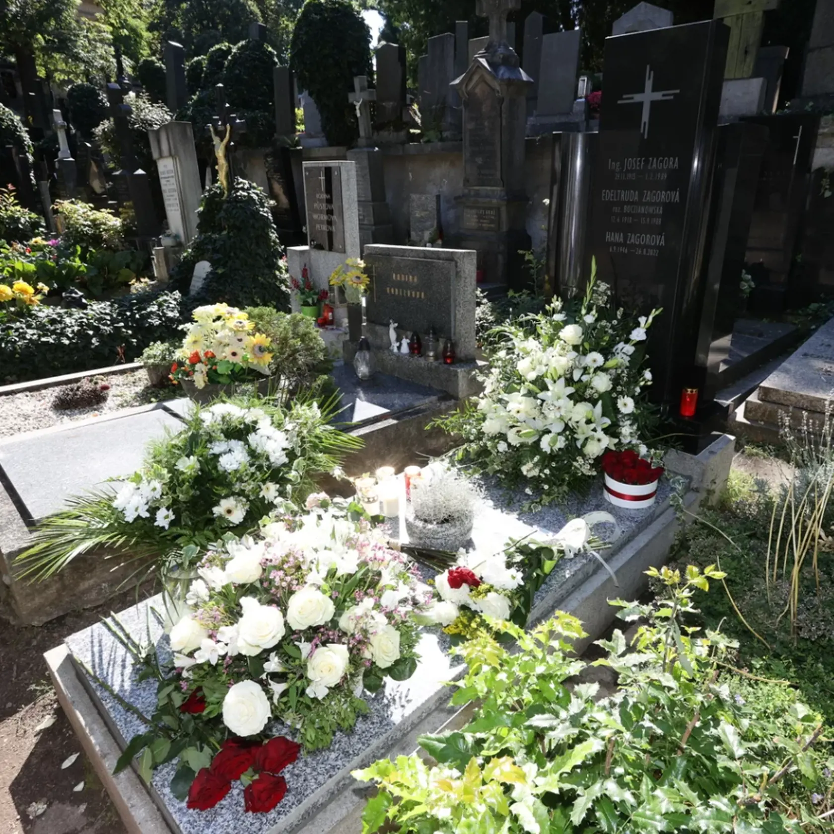 Miesto posledného odpočinku speváčky a herečky Hany Zagorovej, ktorá nás opustila minulý rok v auguste.
