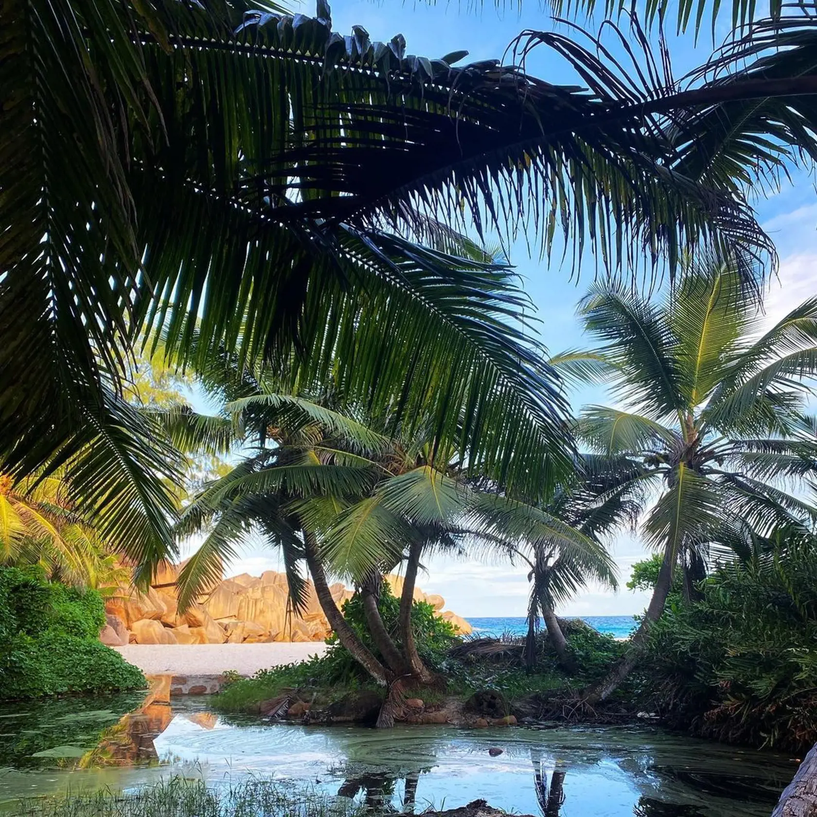 Andrea Verešová na Seychelských ostrovoch.