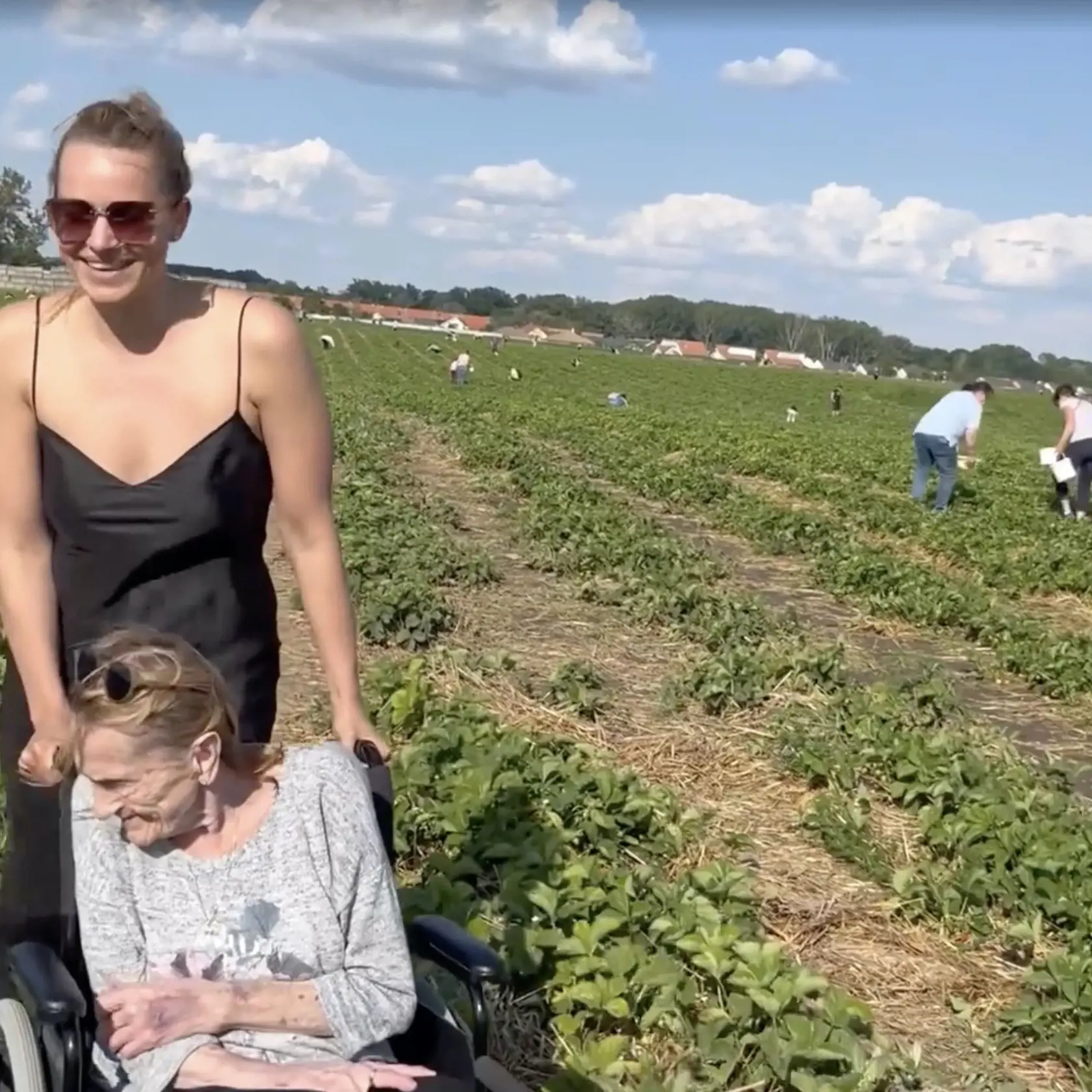 Tabák s babkou Evou si nazbierali dva plné košíky jahôd.