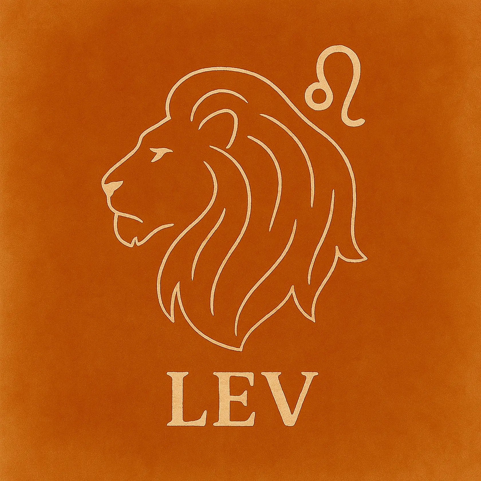 Ilustračná foto - Lev